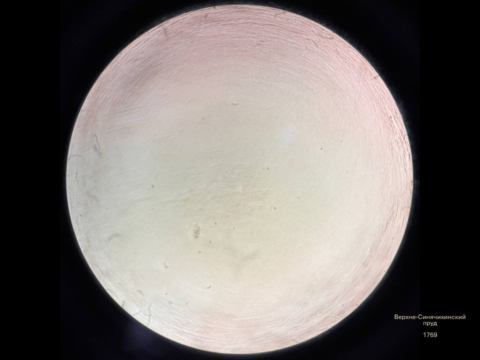 Олеся Фрич — Капля вселенной