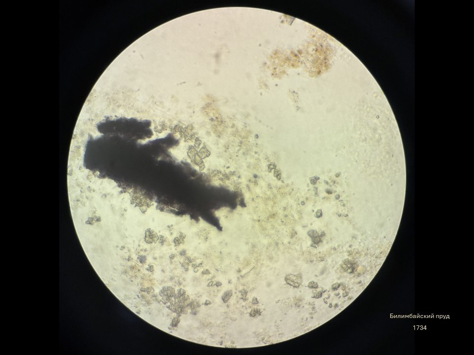 Олеся Фрич — Капля вселенной