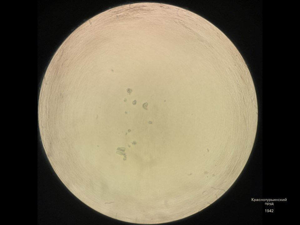 Олеся Фрич — Капля вселенной