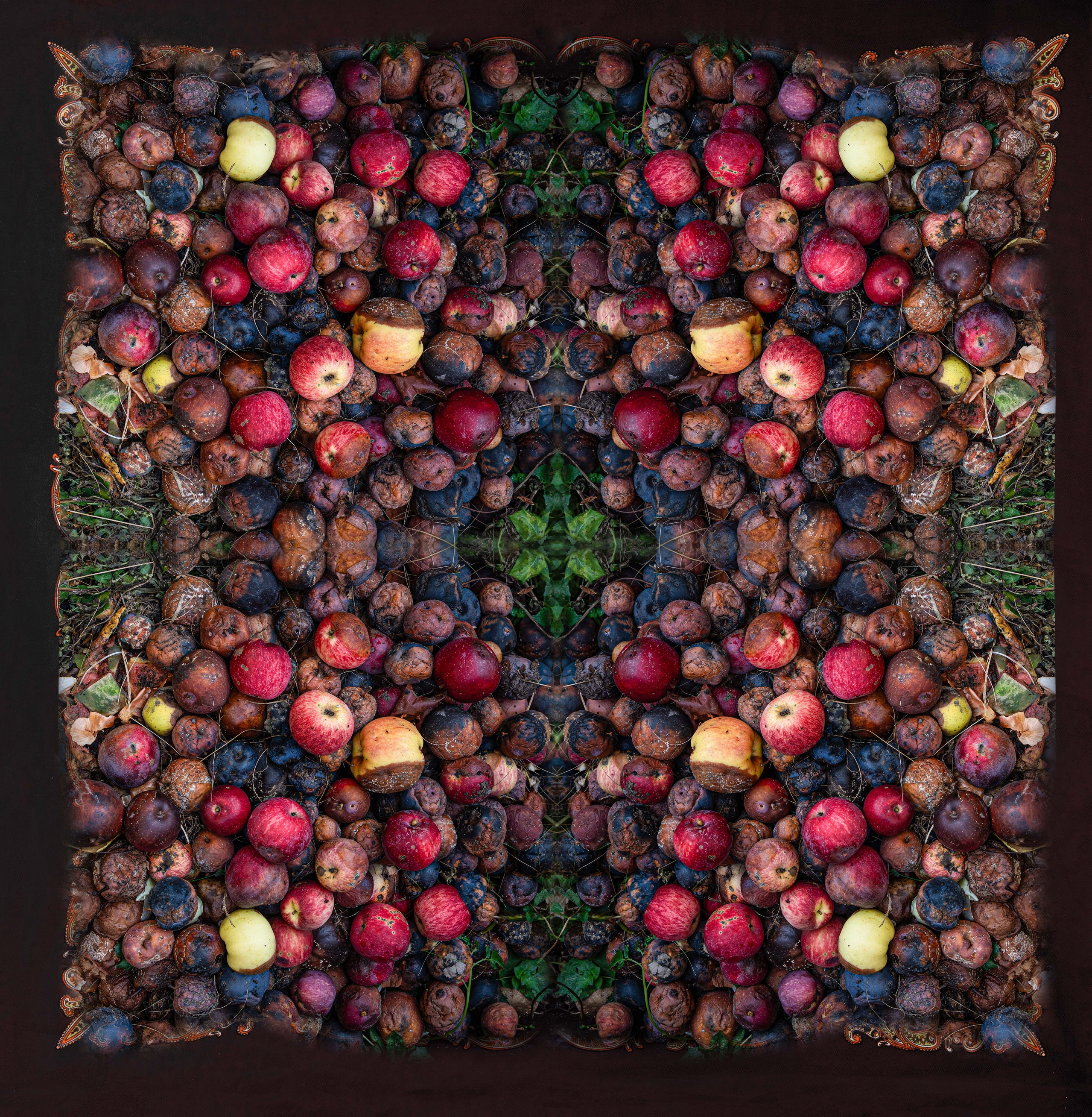 Круговорот и женщина. Главная