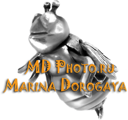 mdphoto.ru