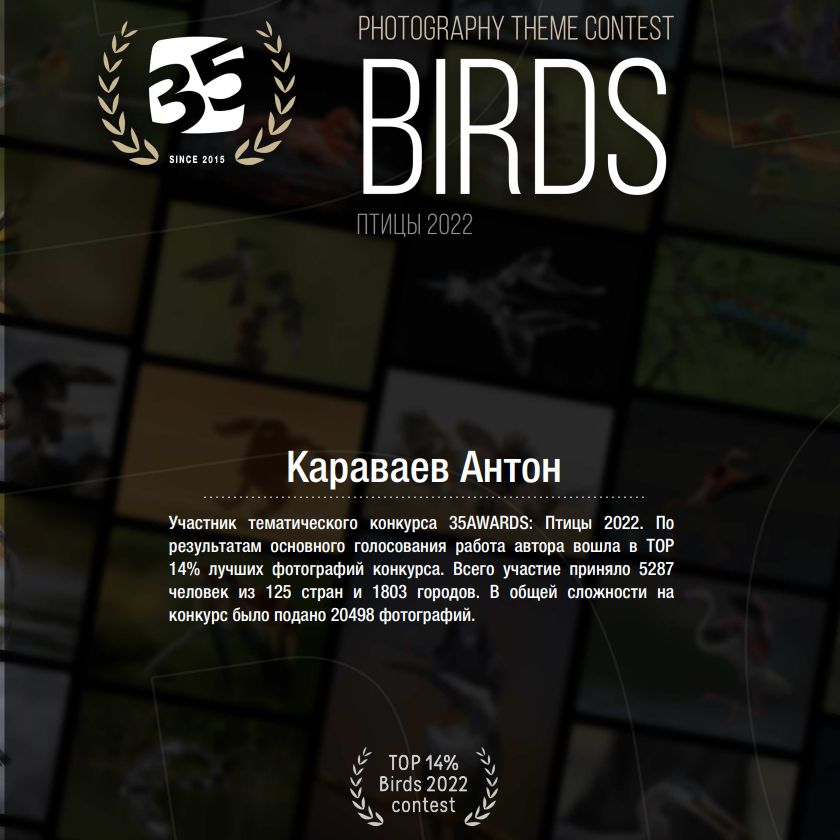 Предметный фотограф в Воронеже Антон Караваев