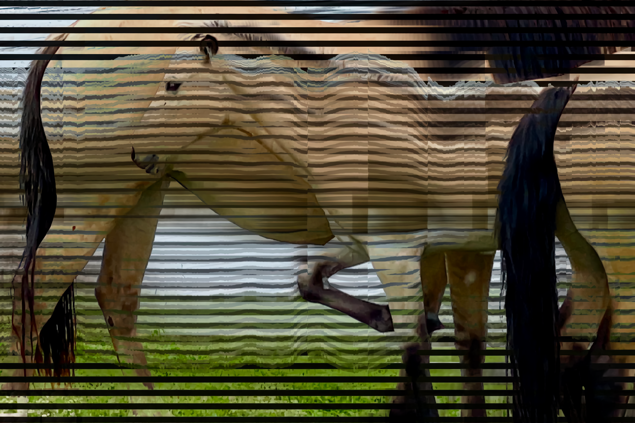 Серия арт композиций, метафора на традиционный башкирский рушник, вышивка орнаментов и узоров. MEMORY in NATURE | digital art gallery