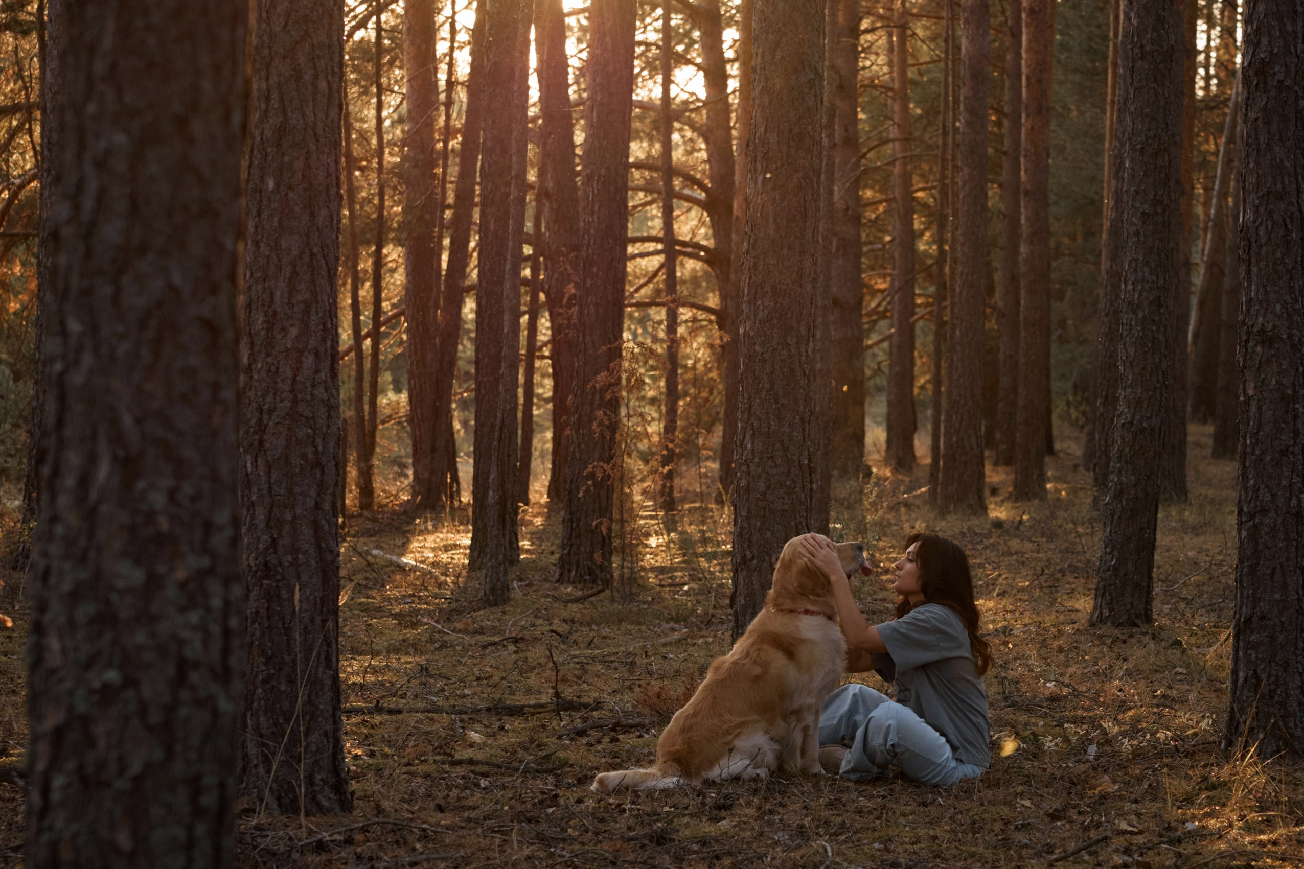Портфолио. Фотограф анималист в Казани Алина Сулейманова. Фотограф животных