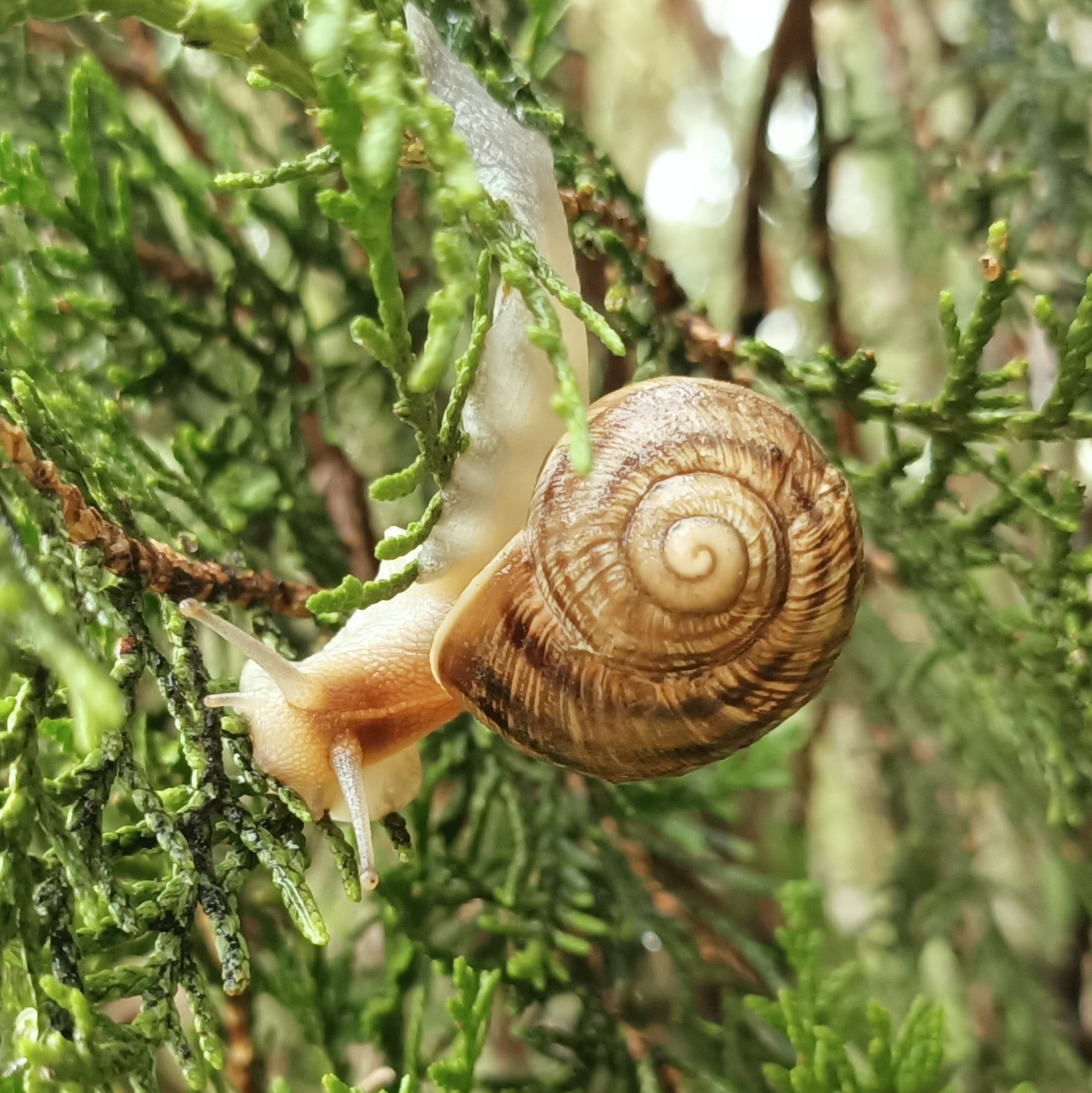 Личный фотоархив