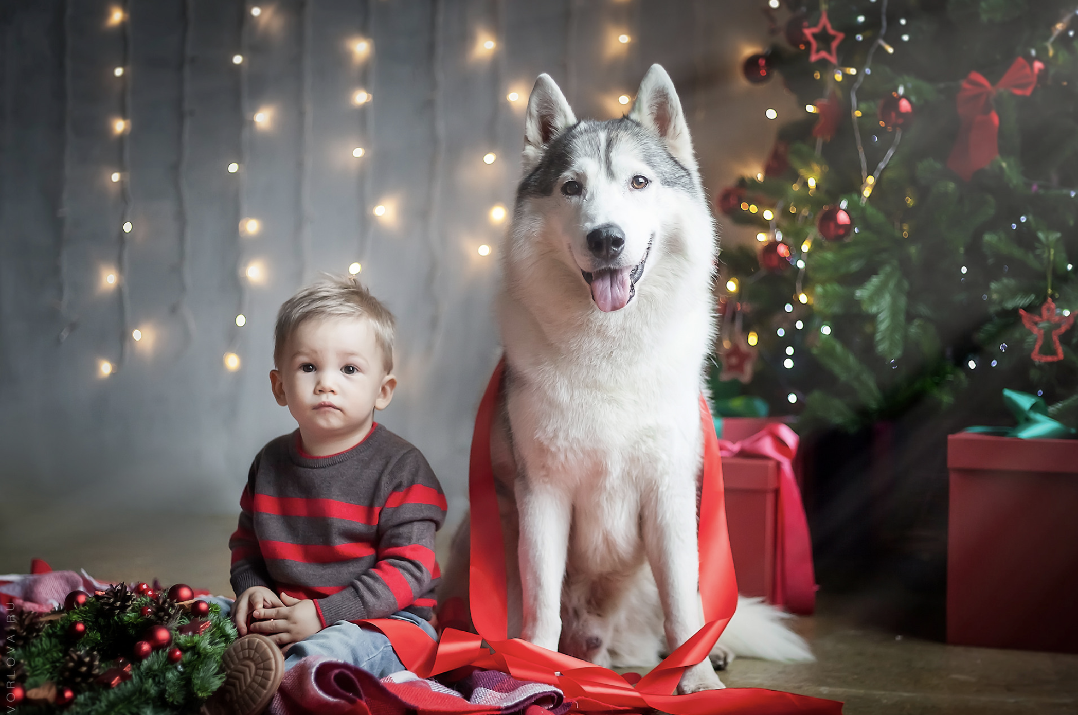 Портфолио семейного фотографа. Детский и семейный фотограф в Москве Вера Орлова