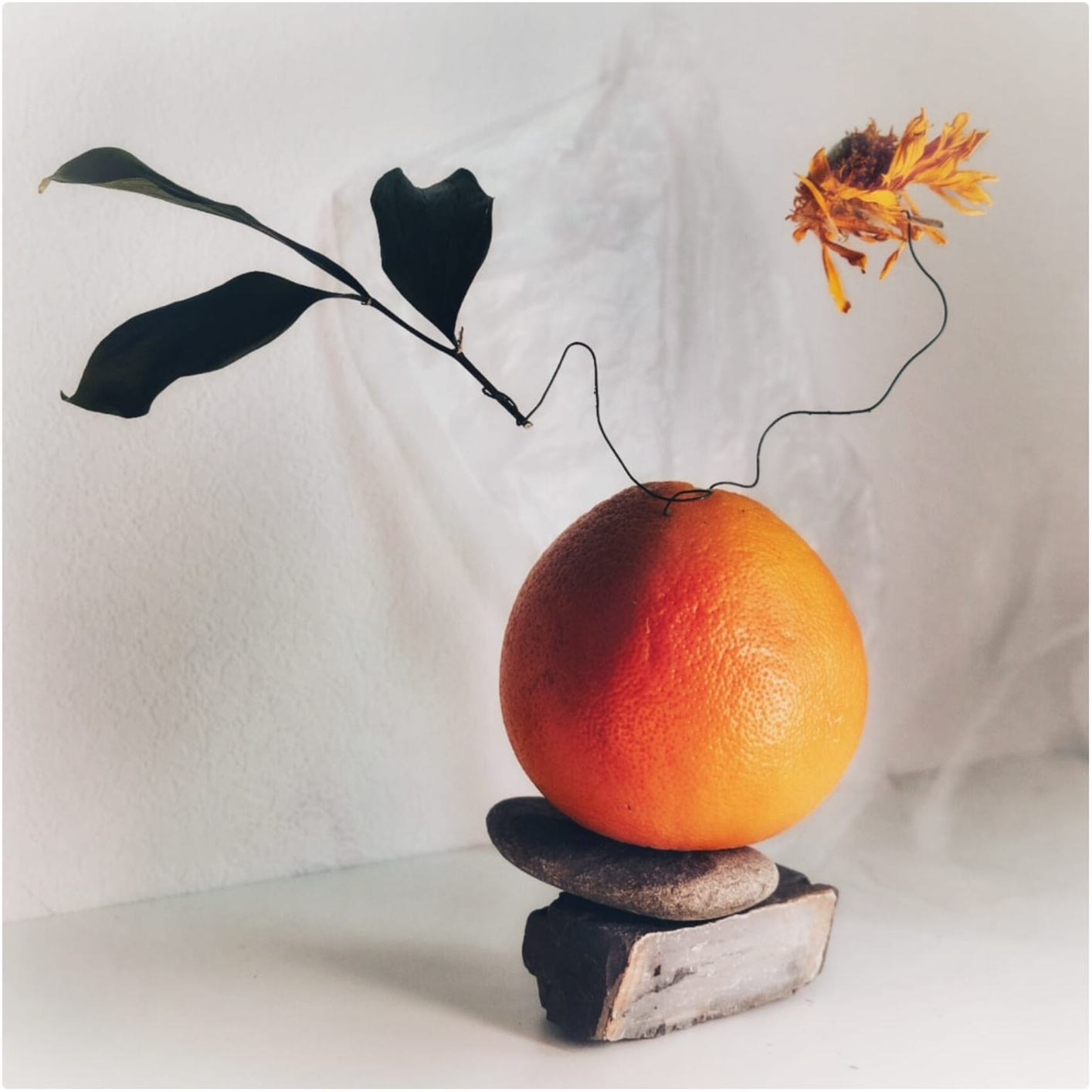 Фотография. 家居装饰