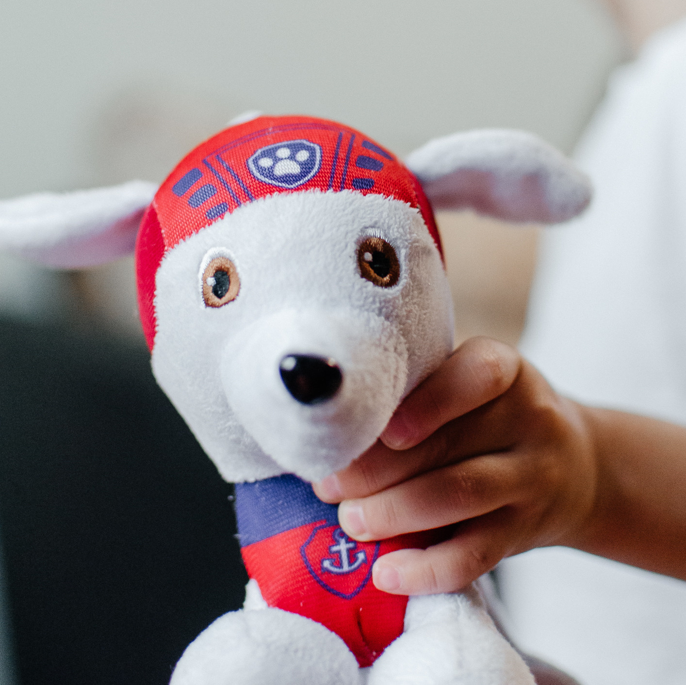 Услуги. Фотограф Татьяна Пономарёва | Архангельск