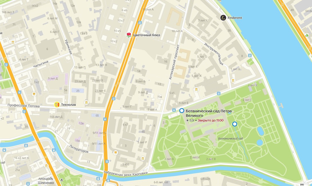 Календарь Цветения в Санкт-Петербурге. Отличные фотографии своих близких, своего бизнеса или даже себя. СПб