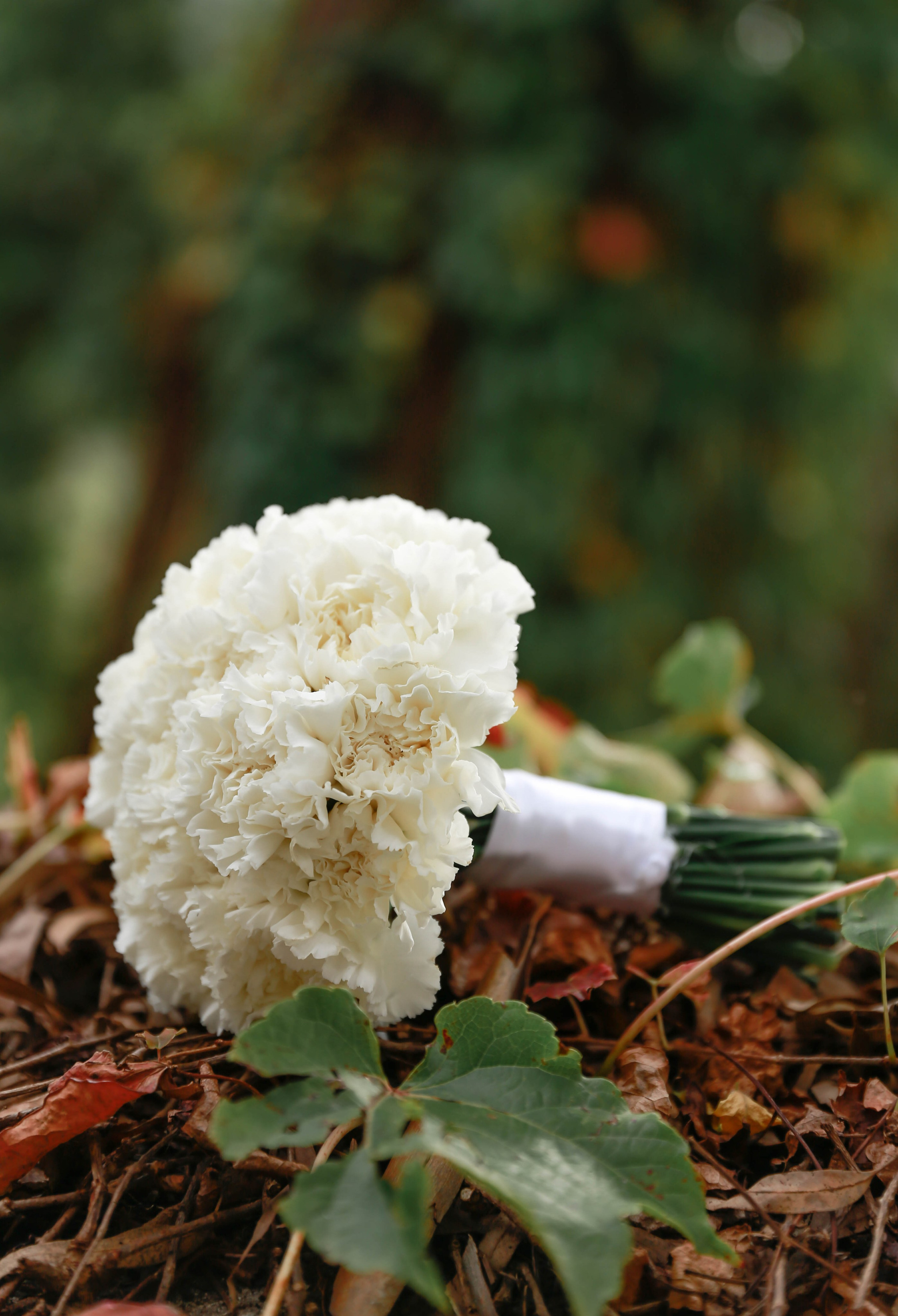 Прайсы. Отзывы