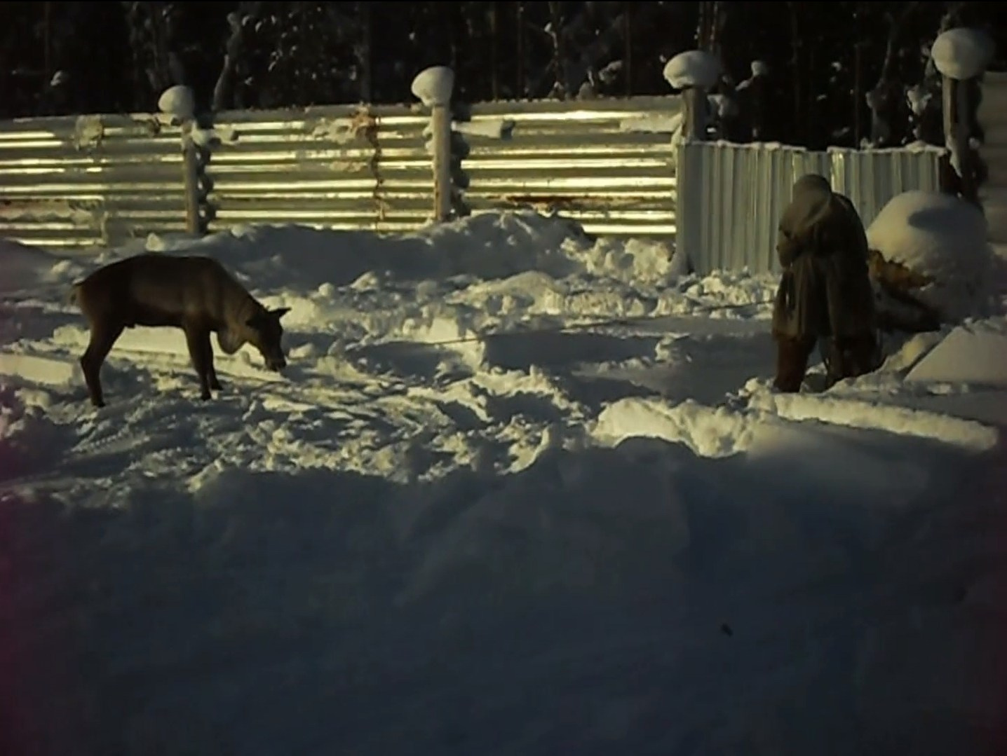 Сказка Саами, 2021. Каати Пуолакайнен