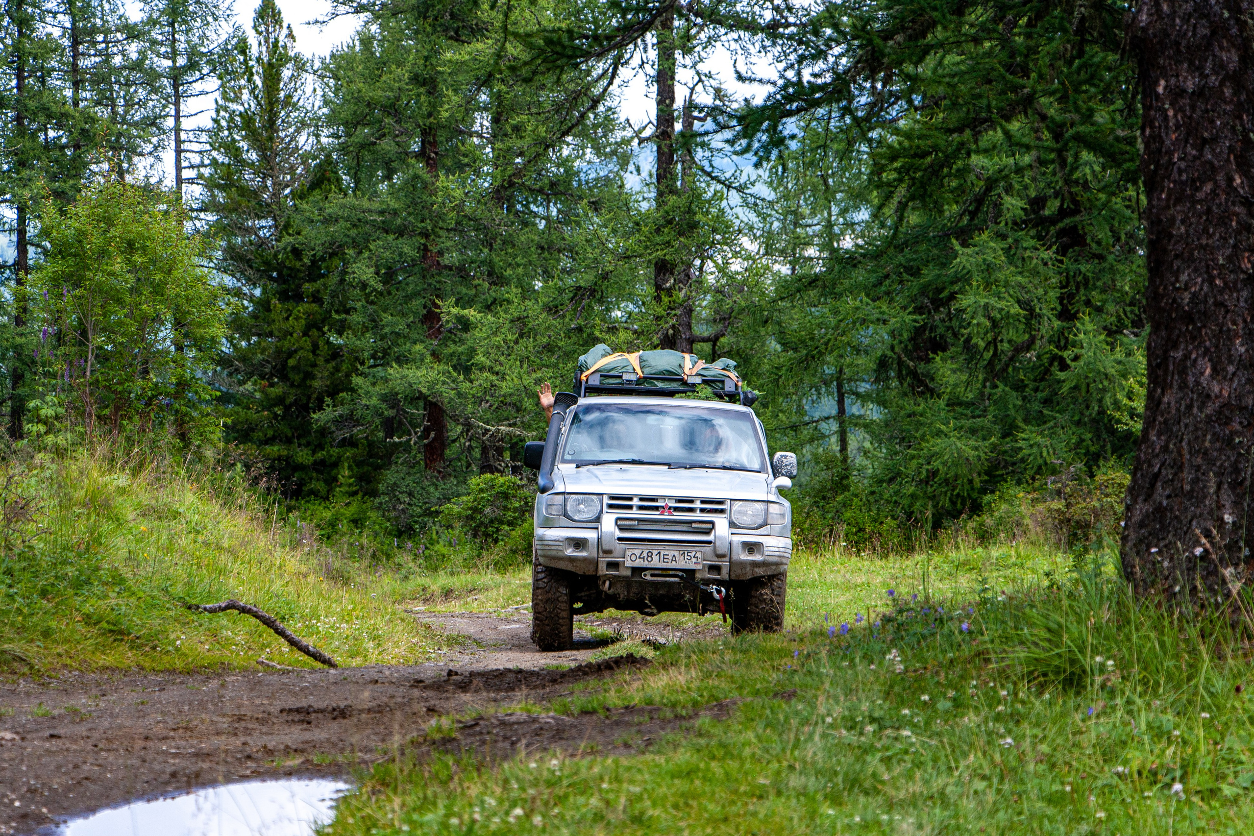 Плато Укок. Gennady Travel