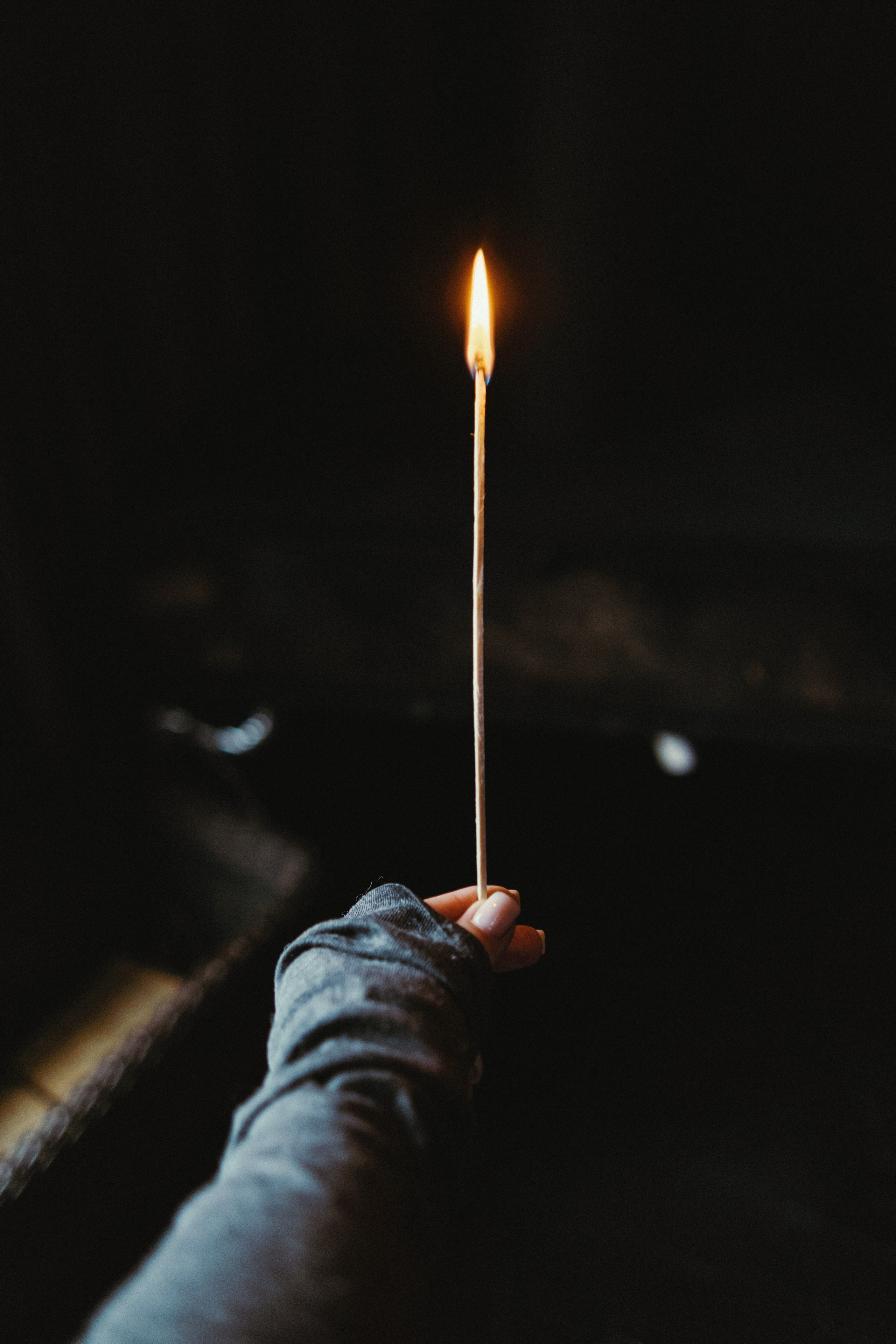 Pine River. Персональный фотограф Москва Кислякова Алина. Фотограф в Дубае, ОАЭ