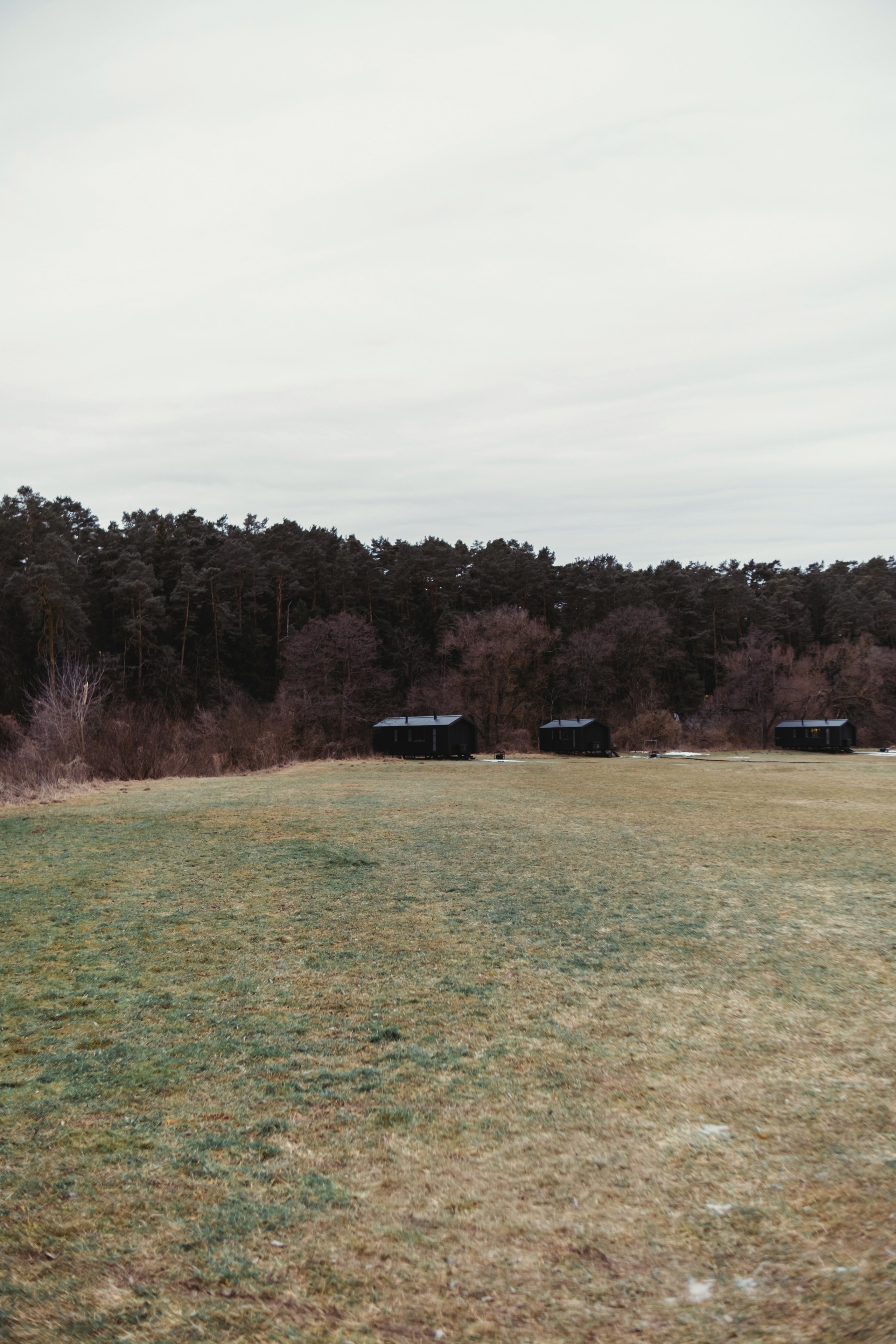 Pine River. Персональный фотограф Москва Кислякова Алина. Фотограф в Дубае, ОАЭ
