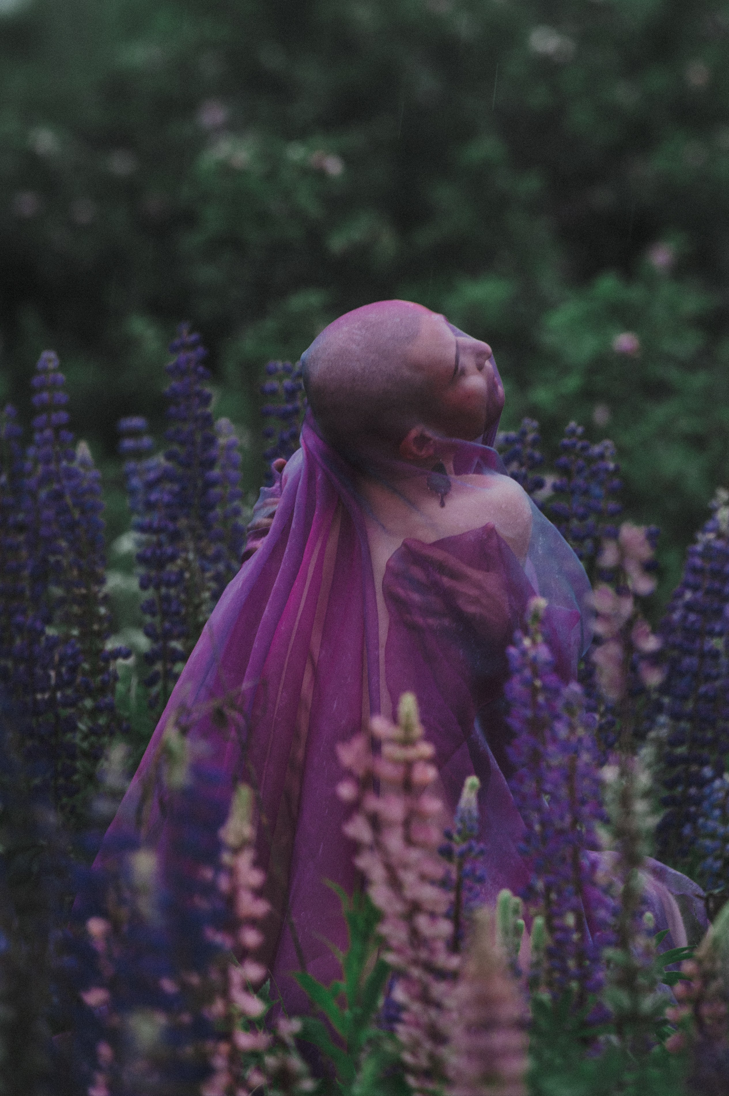 Шевелева Элеонора. ARTEXPOPHOTO