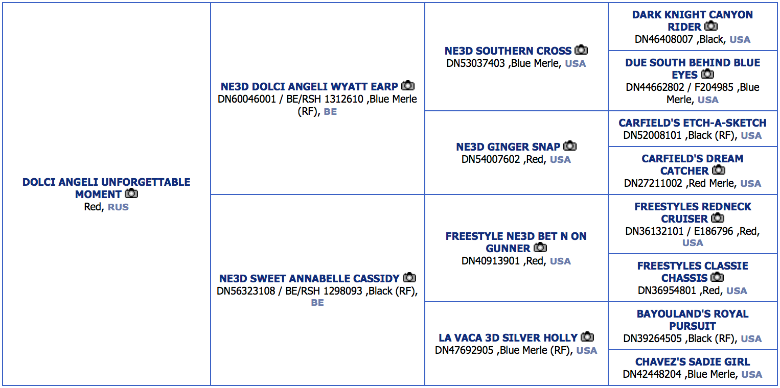 ТОКИО. Питомник австралийских овчарок «APPLEDORE»