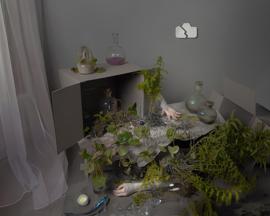 Работы приобрести. Фотохудожник АРТ-фотограф Ира Будниченко Москва