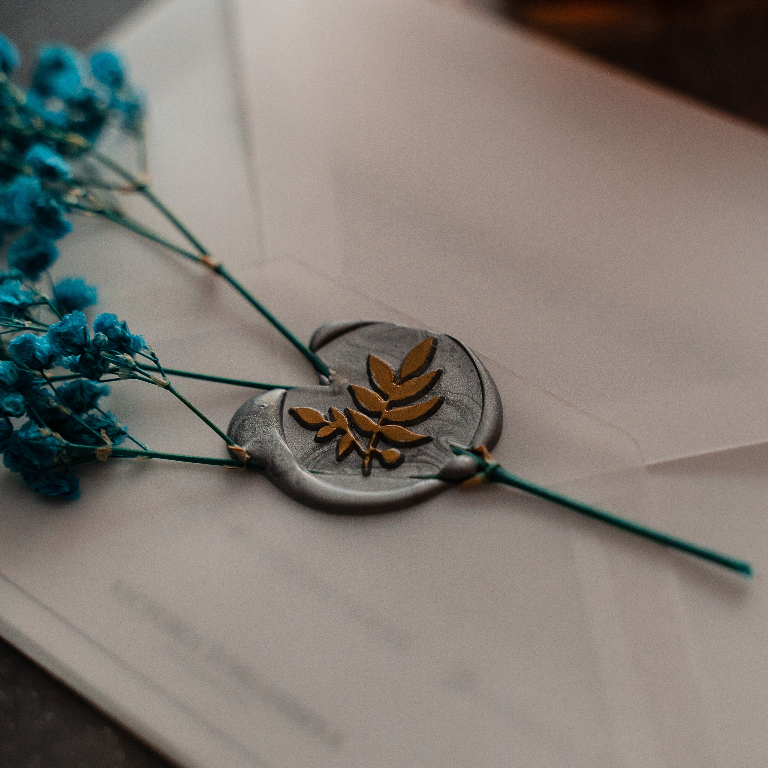 ПРАЙС. Фотограф Виктория Торгашёва. Астрахань