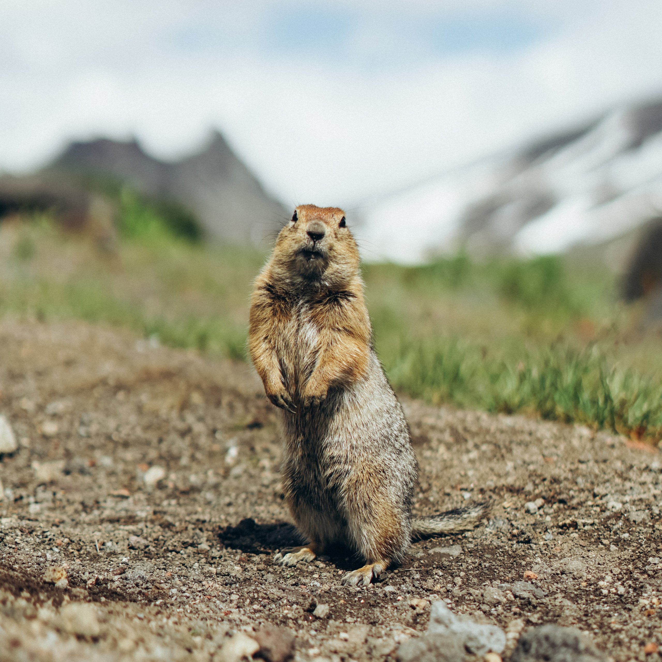 Обо мне. Фотограф на Камчатке Воронина Ульяна