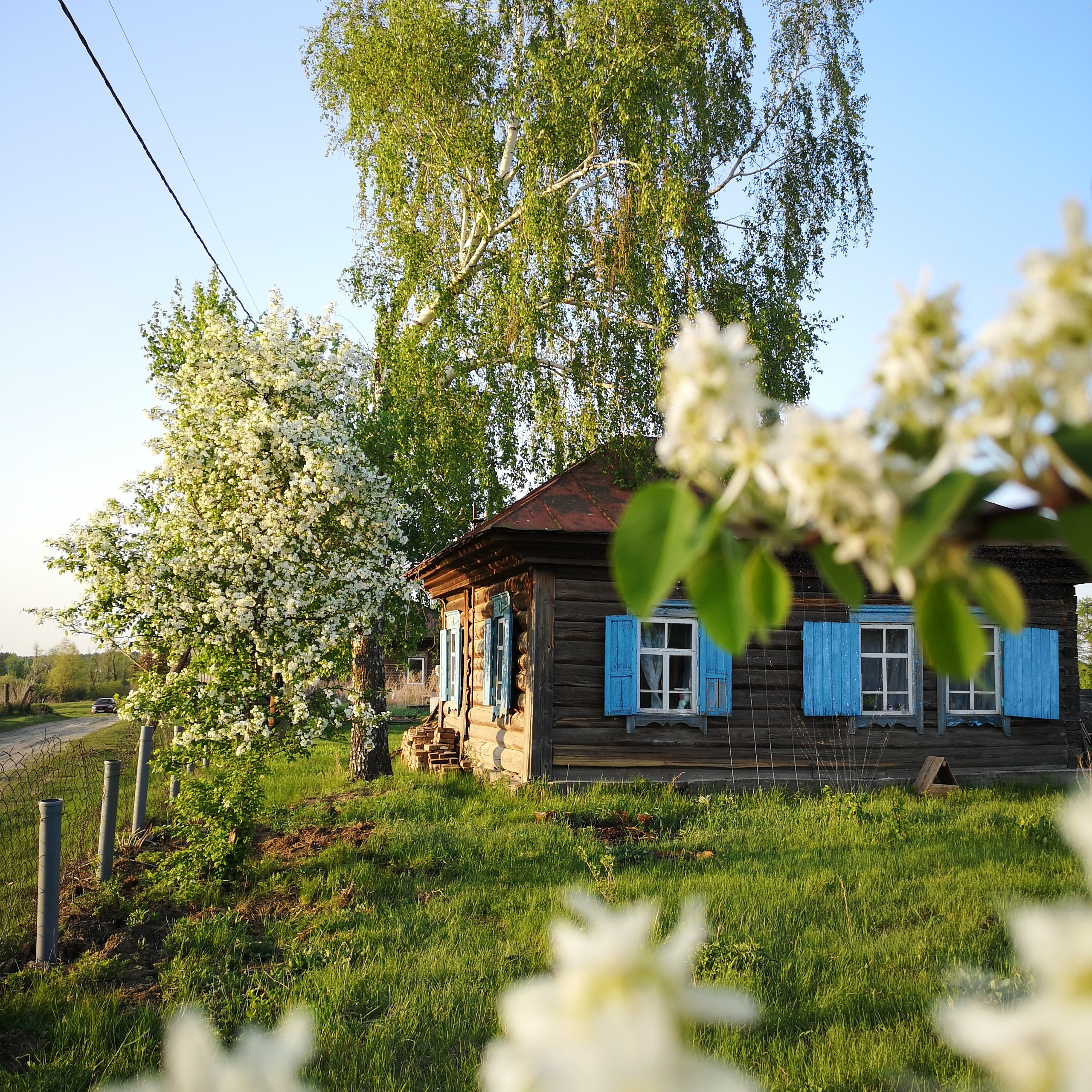 Обо мне. Фотограф Дарья Едапина Новосибирск