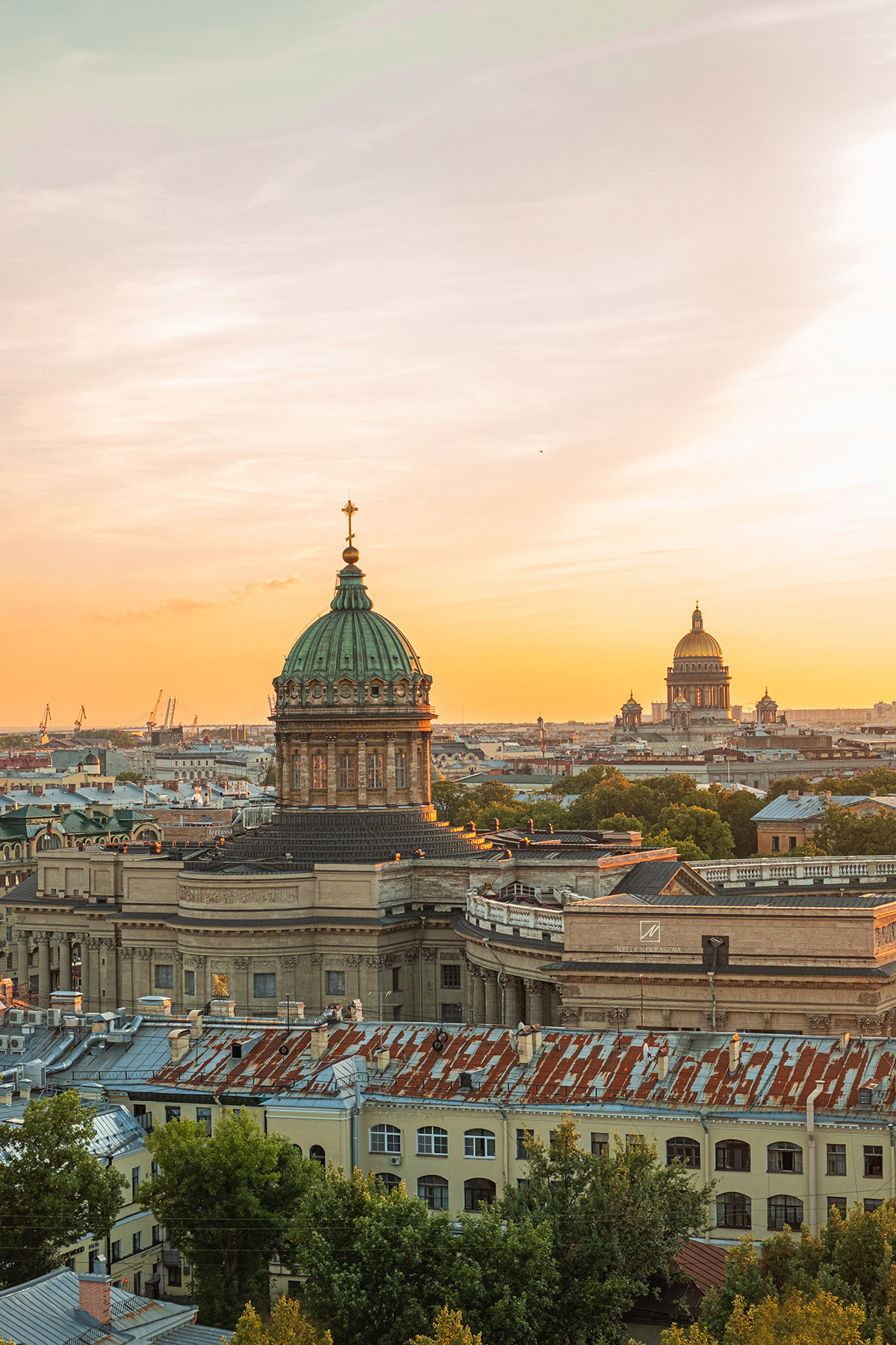 Смотровая площадка в самом сердце Петербурга. Фотограф и искусствовед в Туле и Санкт-Петербурге Нелли Некрасова
