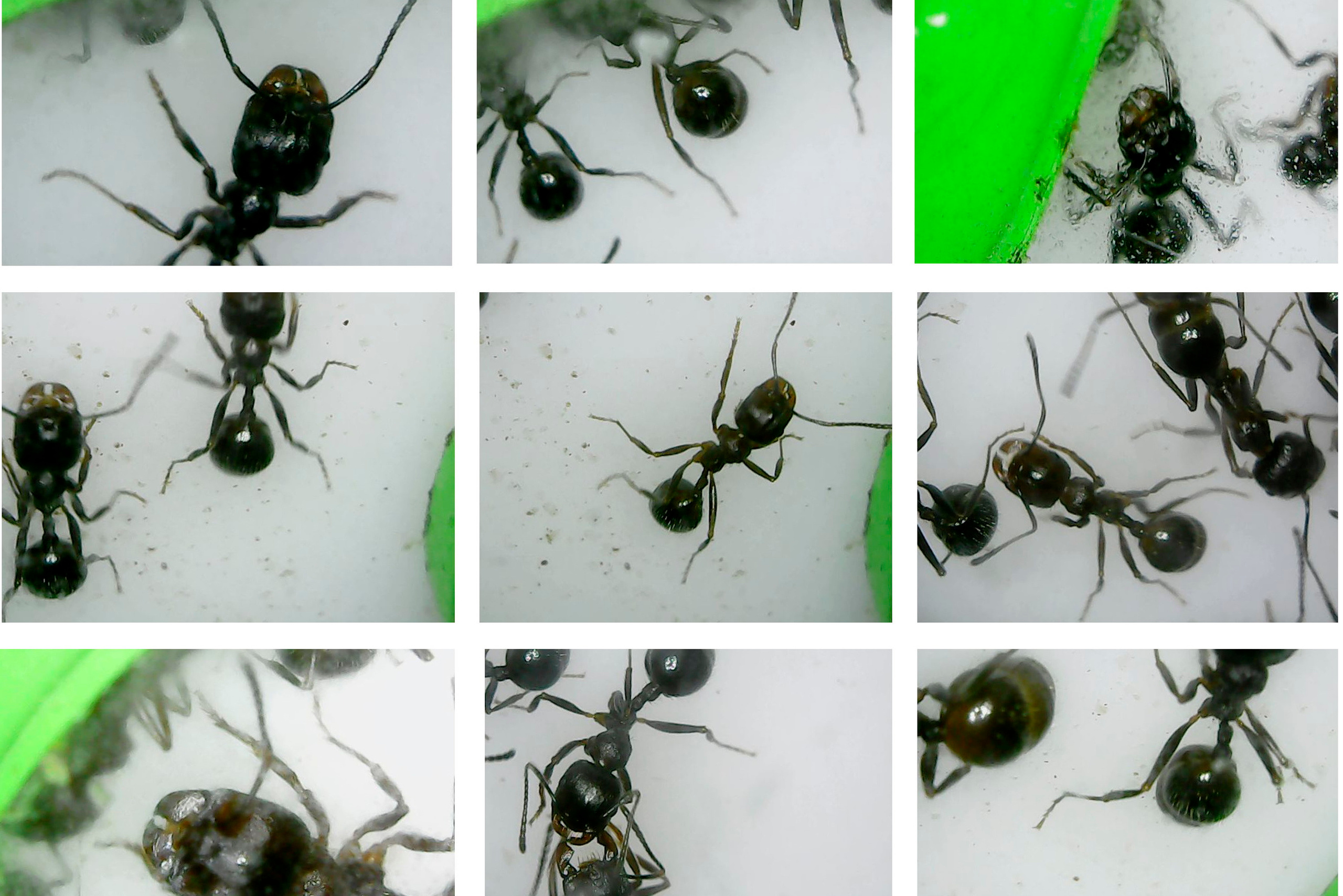 Выставка ''Черный ящик'' с 16 марта по 16 апреля 2021 года