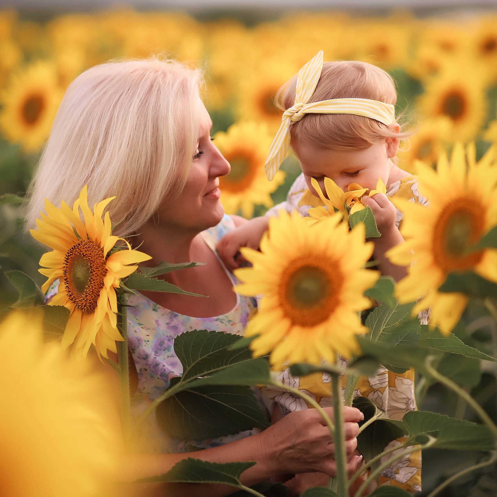 Услуги. Главная
