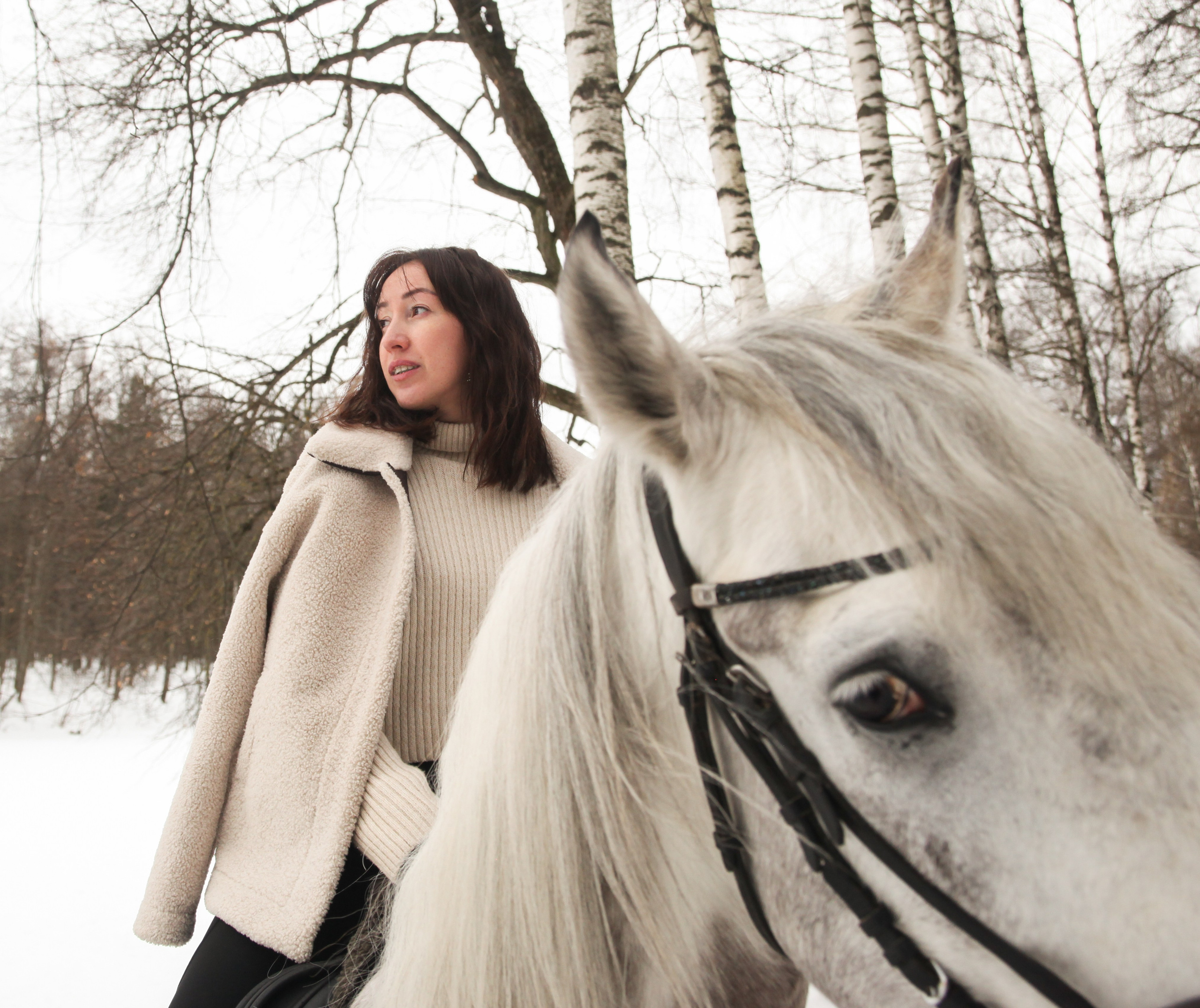 Фотограф с лошадьми в Москве