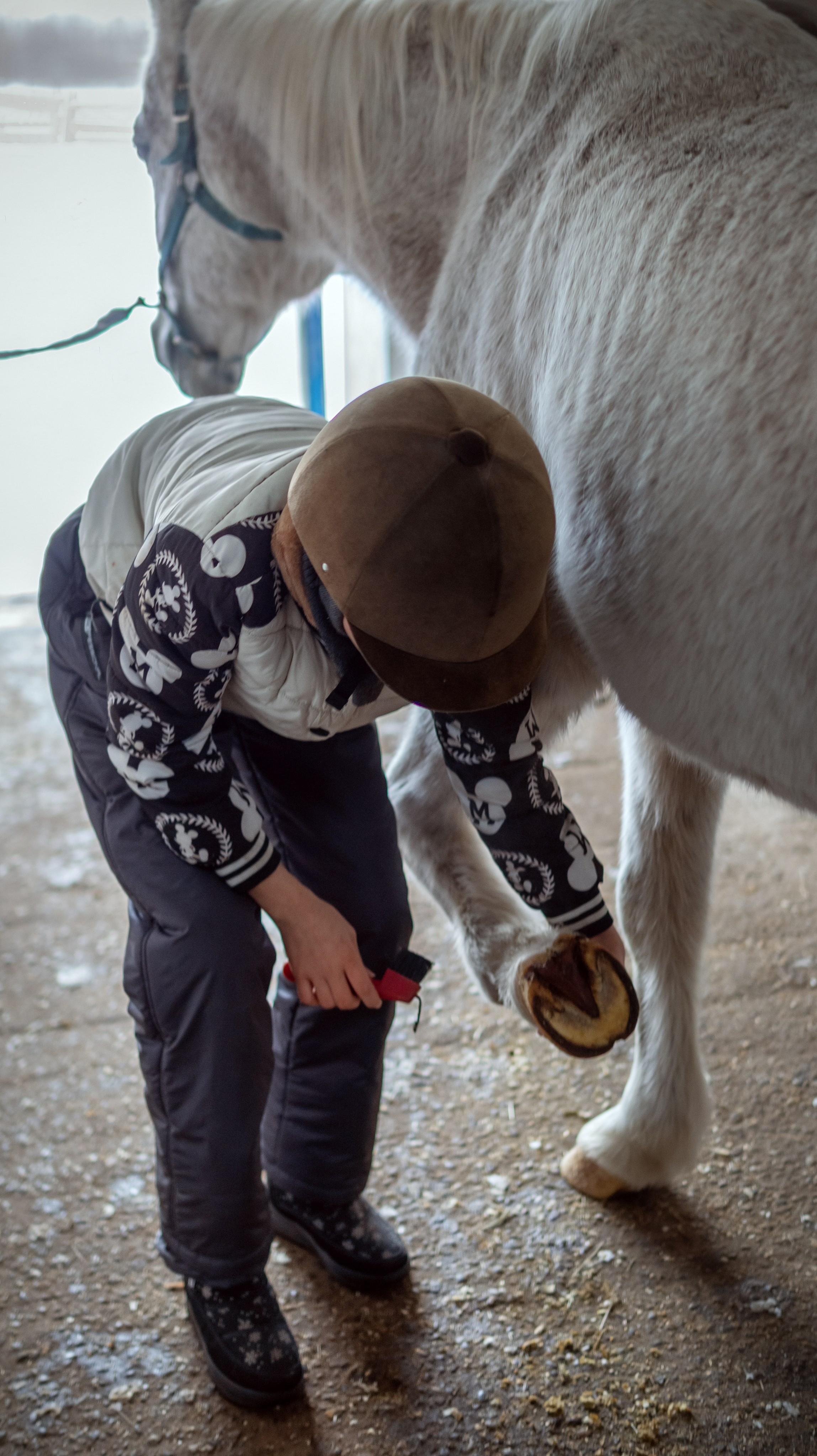Конноспортивная школа Добрый конь город Белоозерский