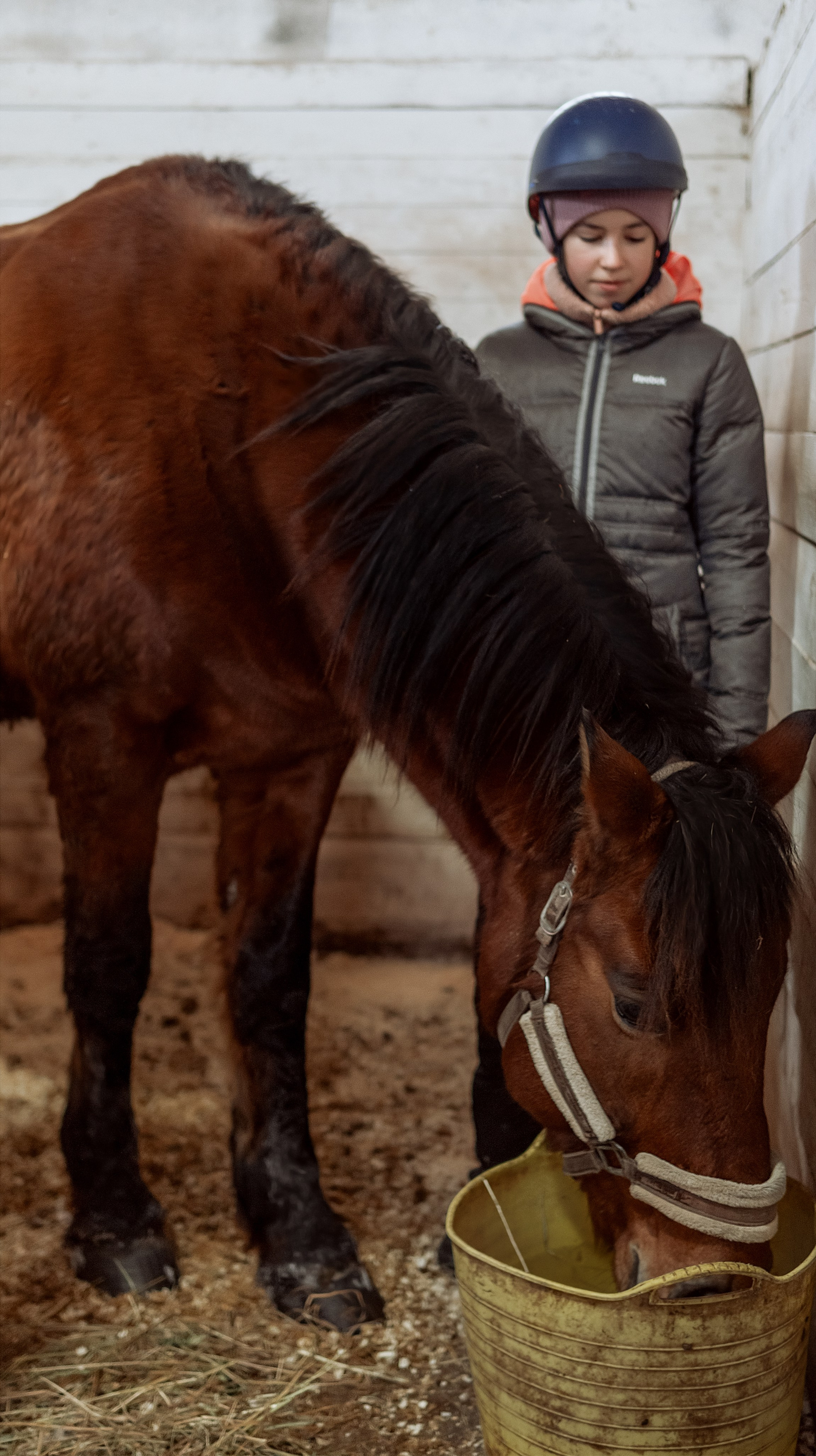 Конноспортивная школа Добрый конь город Белоозерский