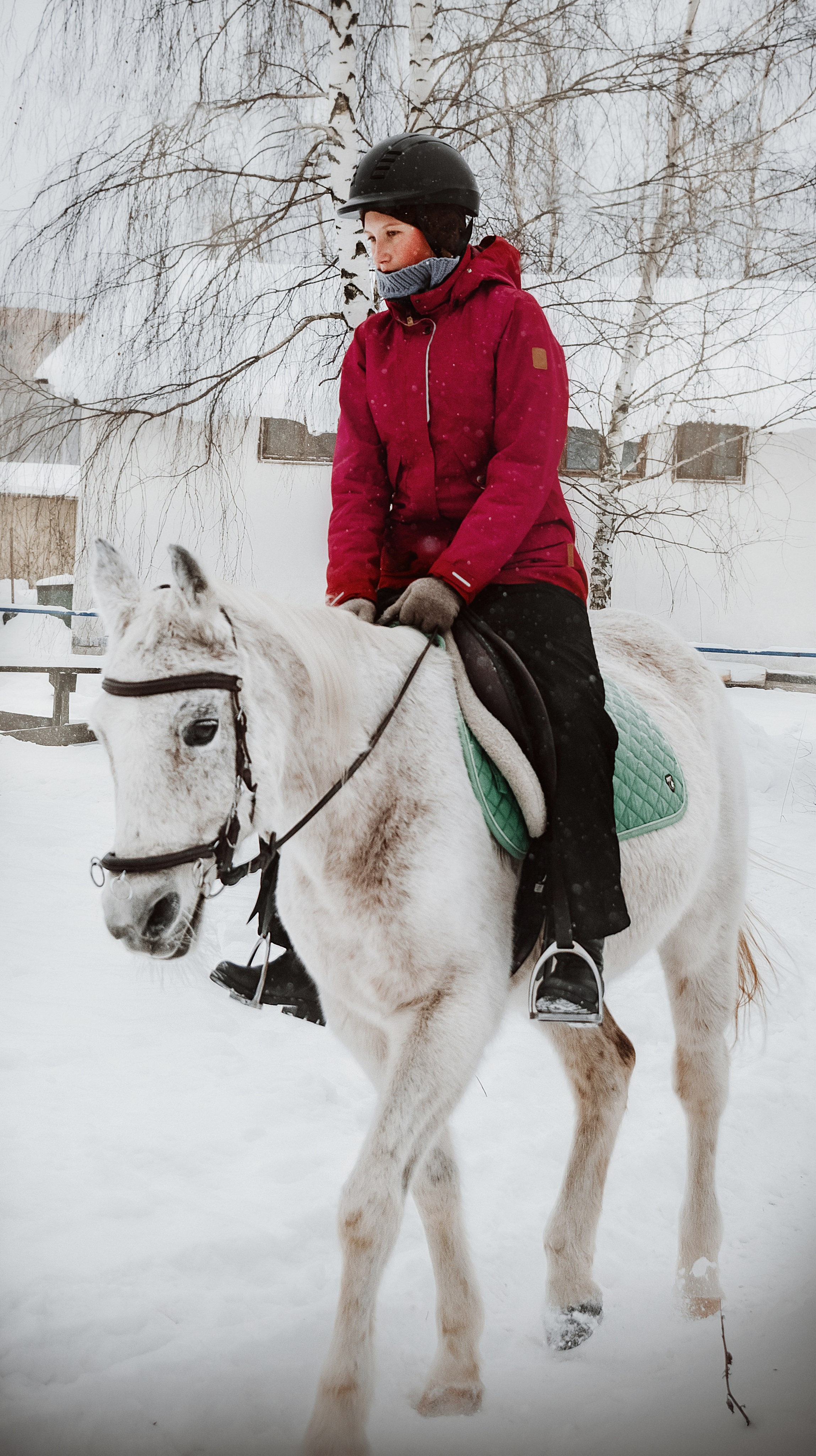 Конноспортивная школа Добрый конь город Белоозерский