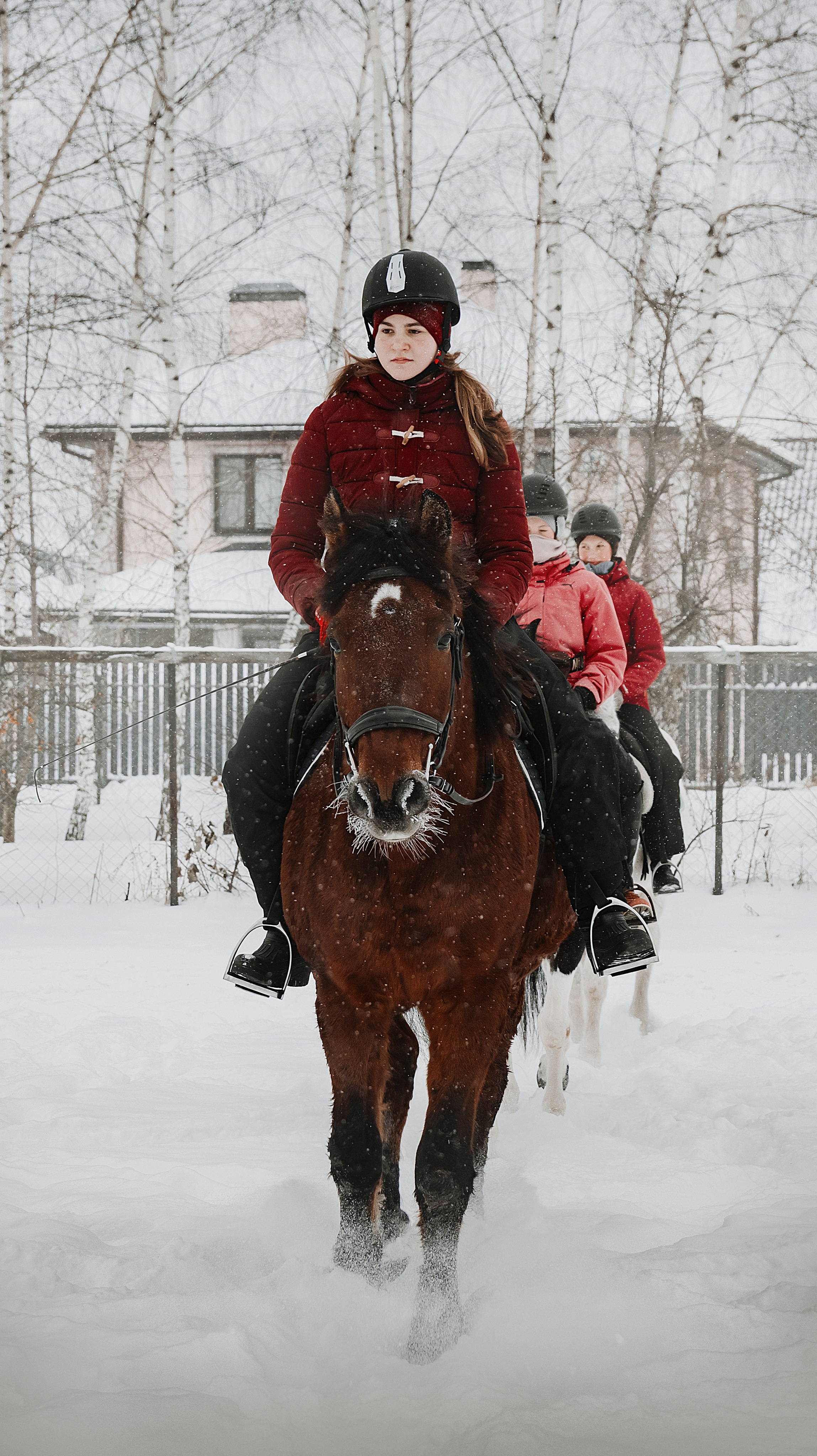 Конноспортивная школа Добрый конь город Белоозерский