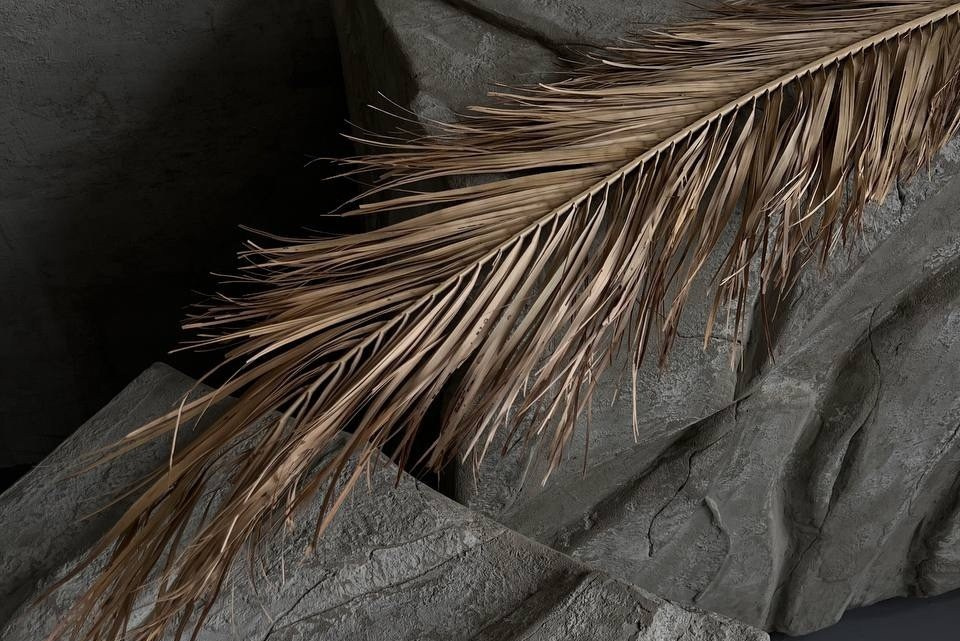 Фотостудии Нижний Новгород. Фотограф Sofya Art Нижний Новгород