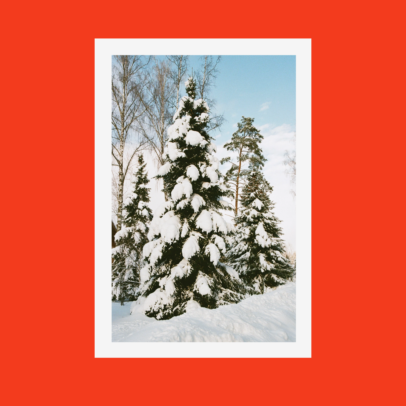 Новогодние открытки