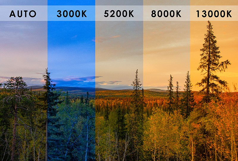 🎨 Цветокоррекция. Mikoff — Воспоминания и эмоции неподвластные времени