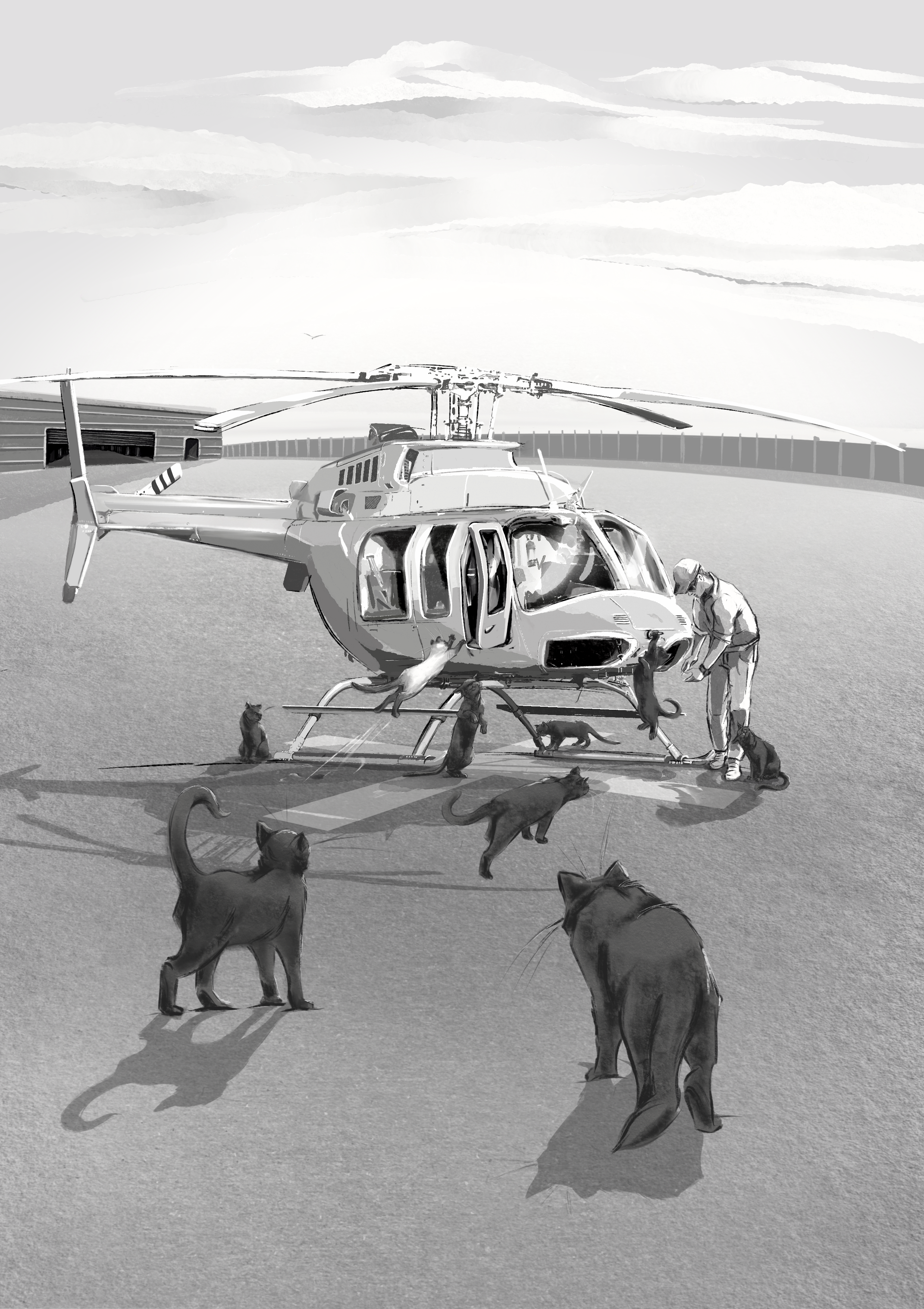 Магазин онлайн торговли. Алекс Ком. Автомобильный фотограф и детский писатель из Москвы