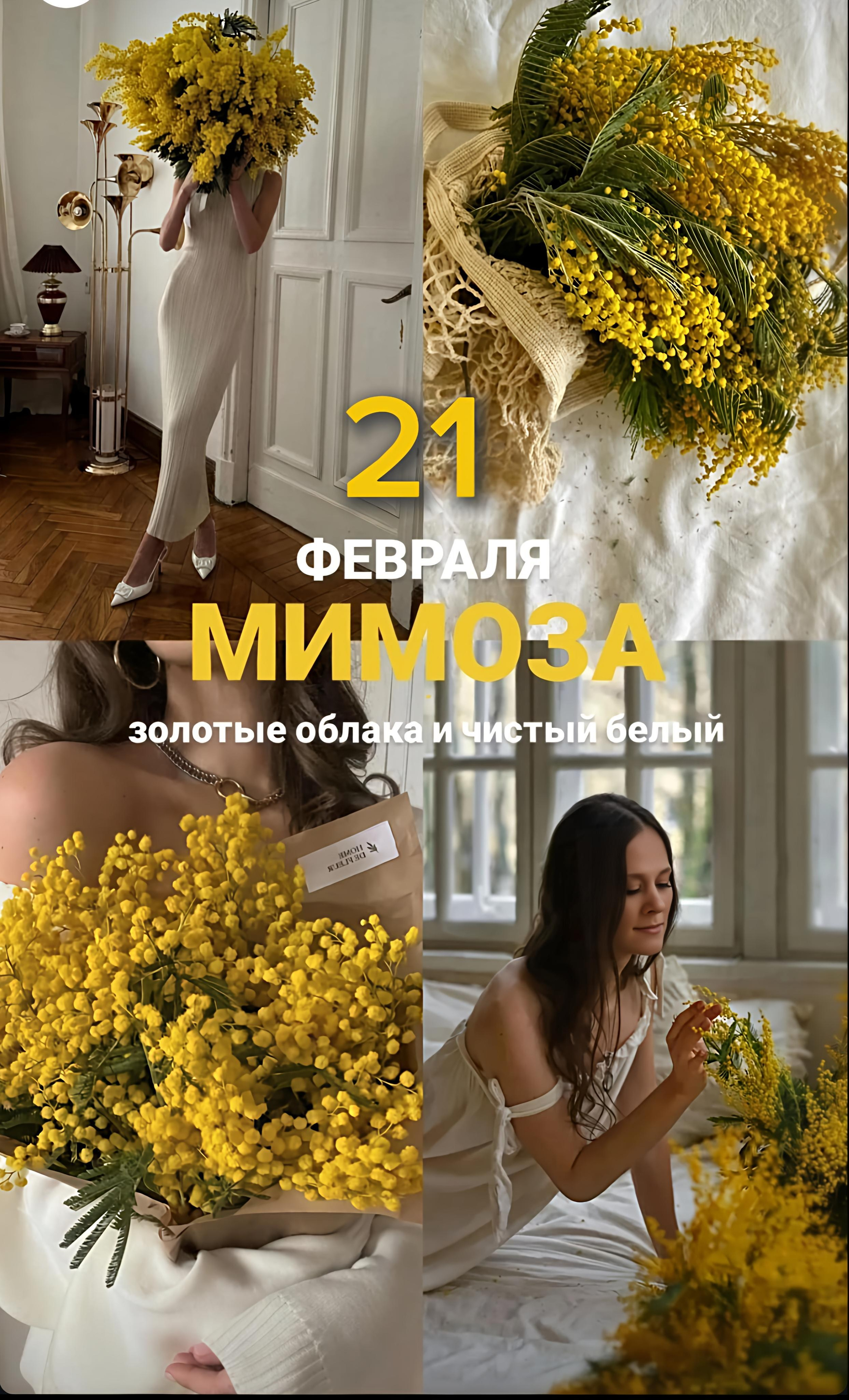 Расписание фотодней Краснодар. Свадебный семейный и детский фотограф в Краснодаре Карина Федоровская