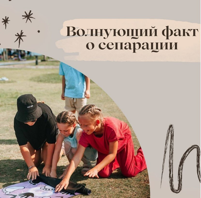 Как проверить реальный факт прохождения сепарации?