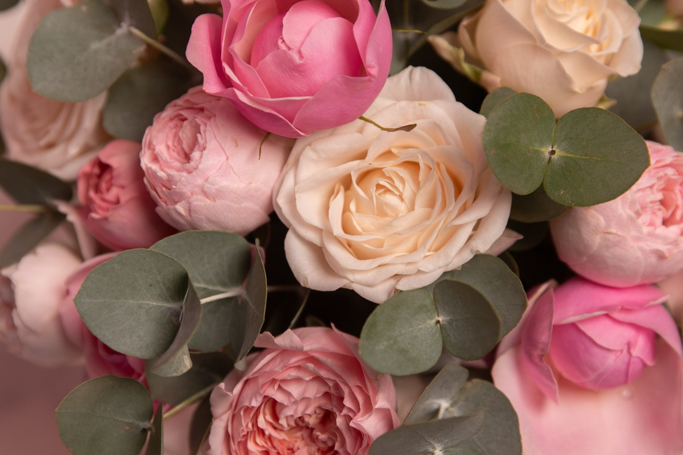 Портфолио фотографа, деловой портрет. Профессиональный фотограф Анастасия Кохно