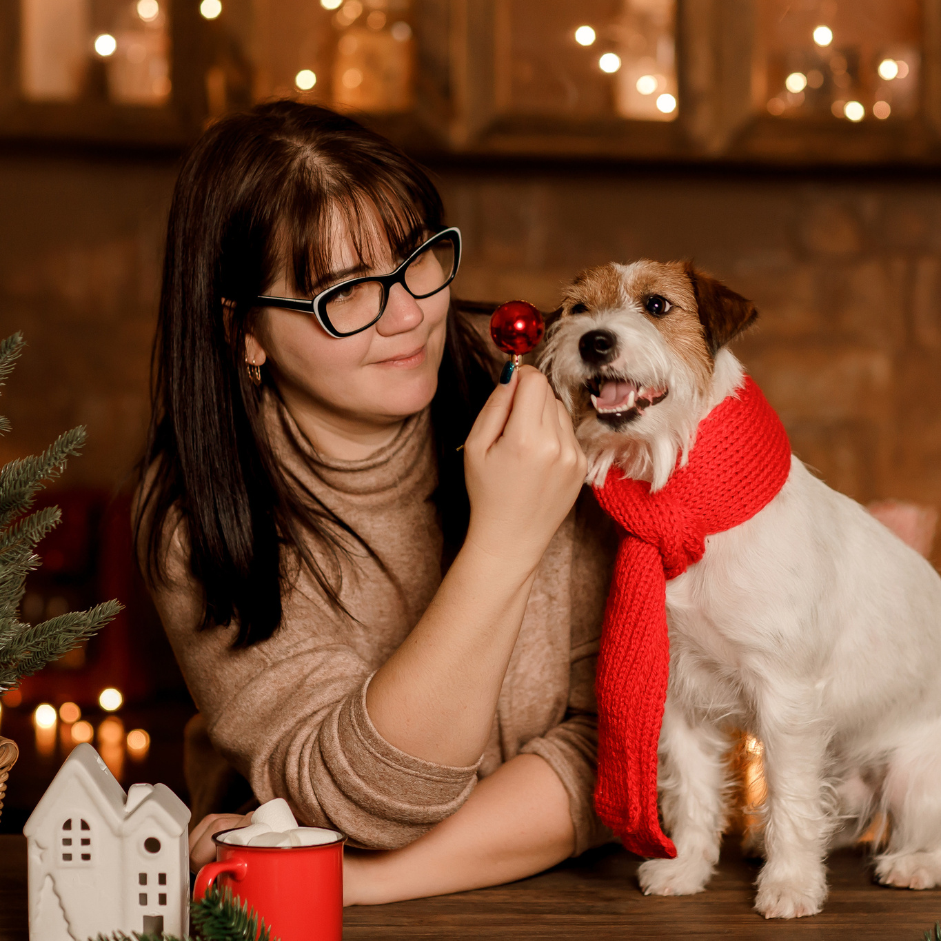 Услуги. Фотограф анималист Благовещенск. Сафонова Виктория