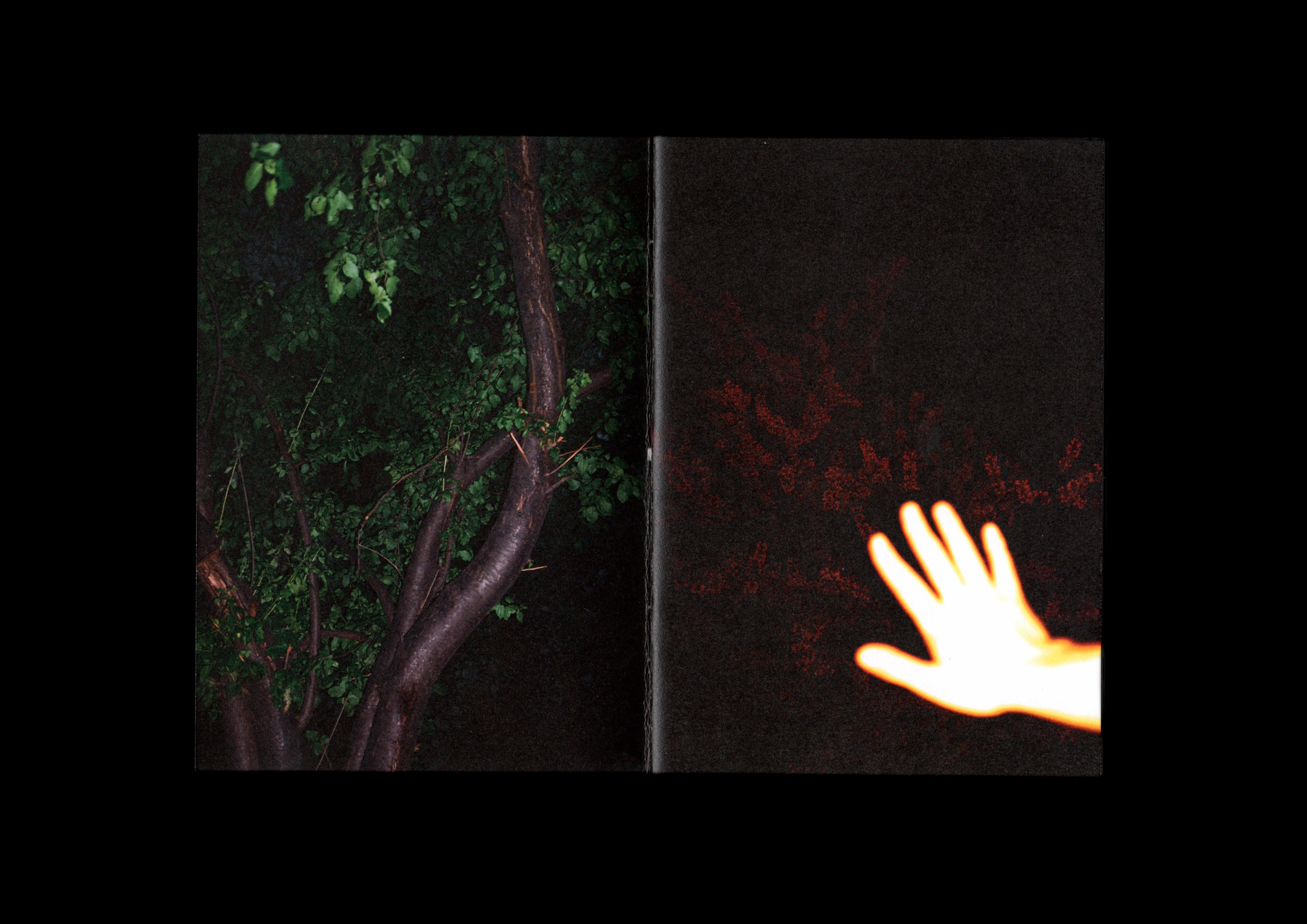 After Dark. Daria Stotland