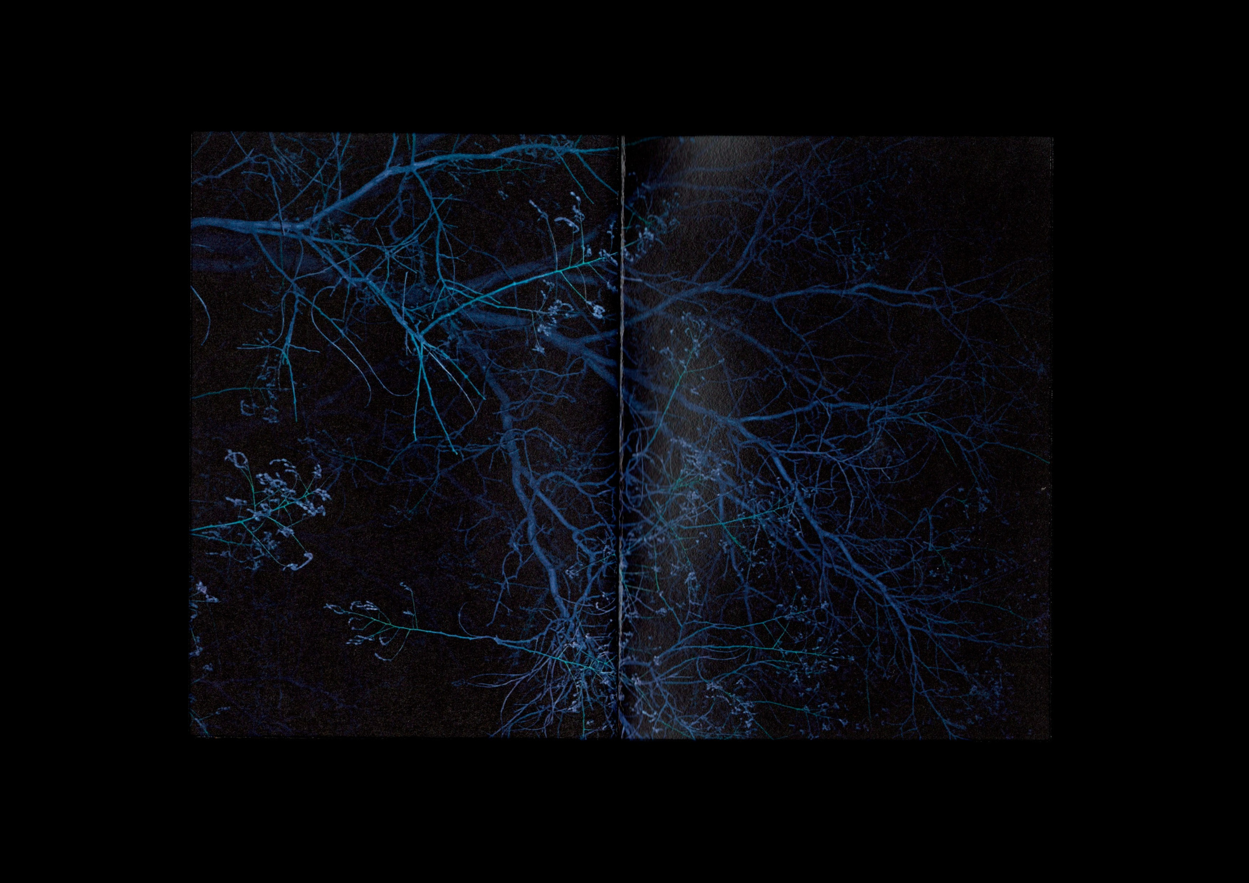 After Dark. Daria Stotland