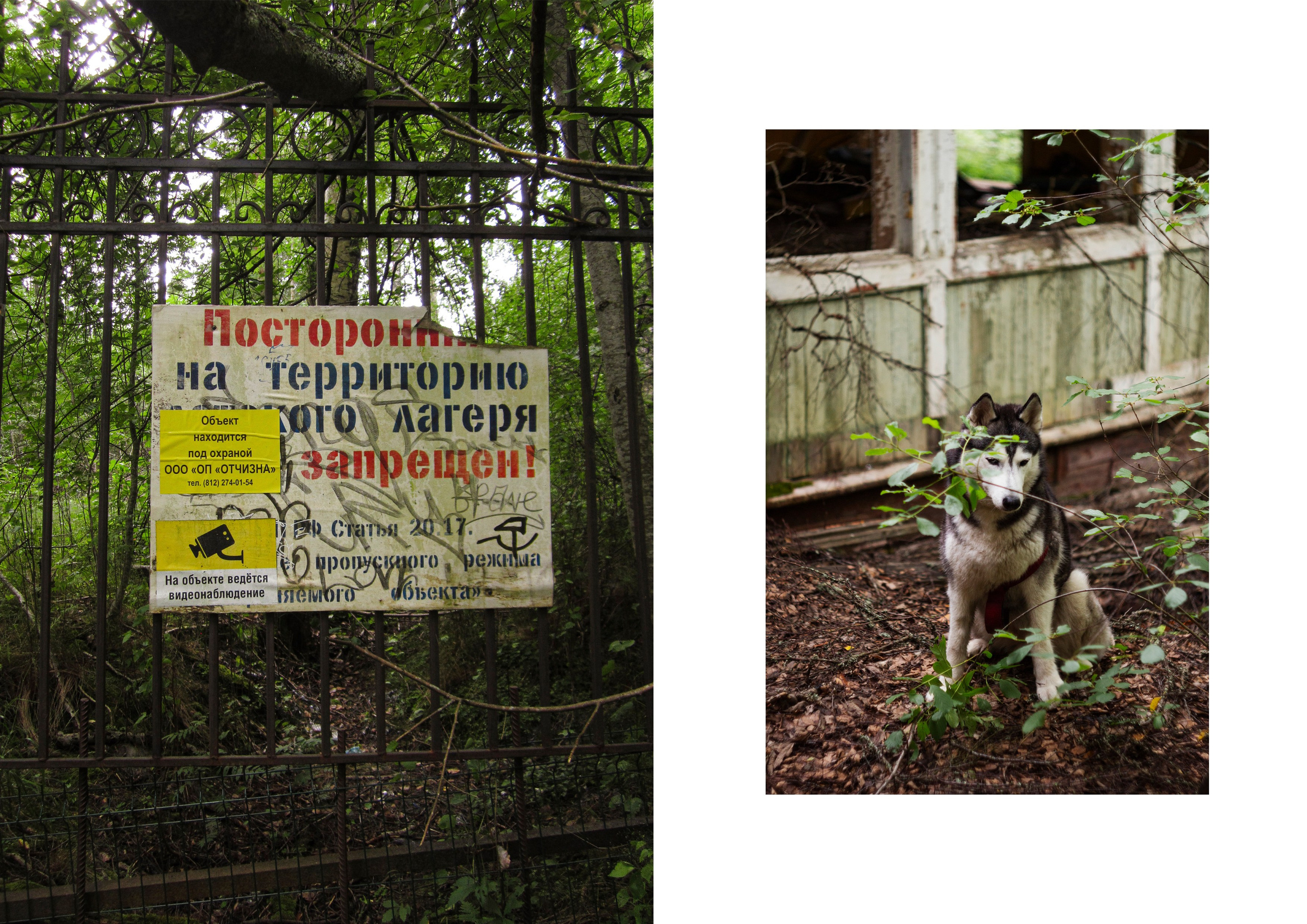 Заброшенный лагерь Лада, Тарасово, финская деревня Синккола