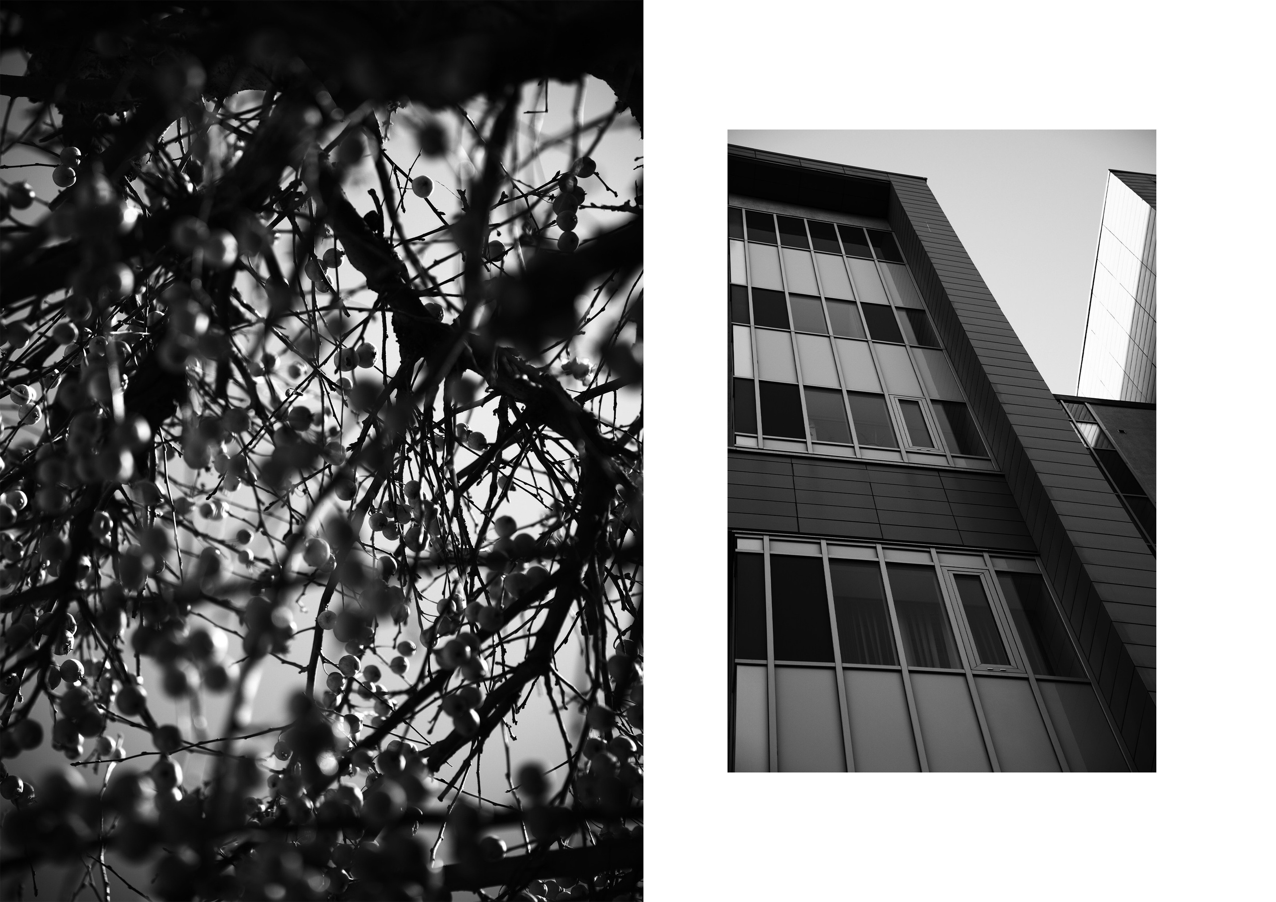 Где-то на Проспекте Мира. Фотограф из Москвы — DASHA NOVA | Авторская фотография в разных жанрах