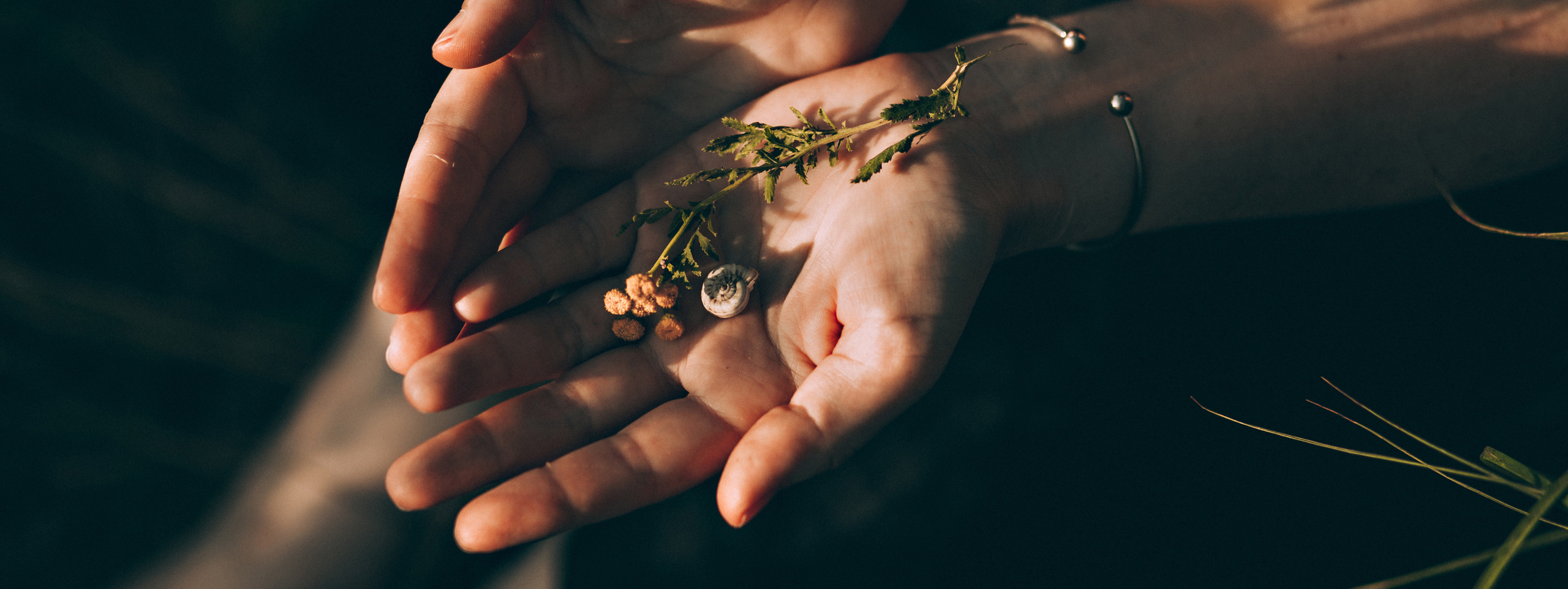 Контакты. Фотограф в Санкт-Петербурге Вера Сивенкова