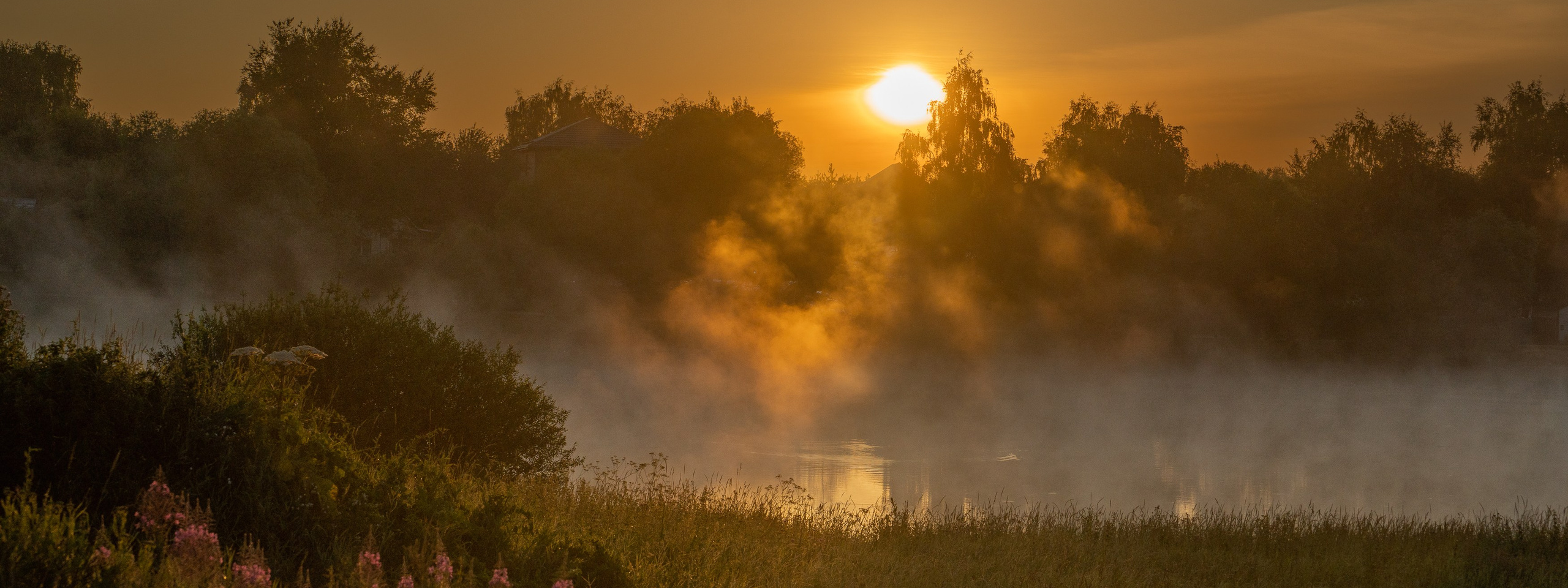Контакты. Портретный фотограф Олеся Владимирова в Москве