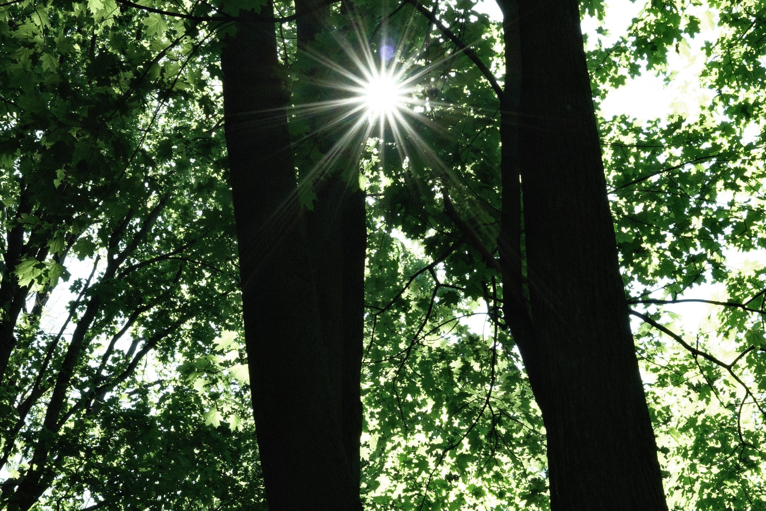 Неуловимое. Belugin Art