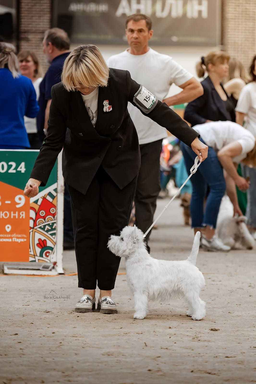Выставка собак всех пород с особым статусом «Россия — 2024». Питомник собак породы вест хайленд вайт терьер в Москве