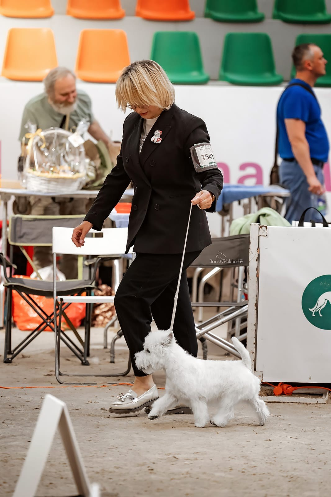 Выставка собак всех пород с особым статусом «Россия — 2024». Питомник собак породы вест хайленд вайт терьер в Москве