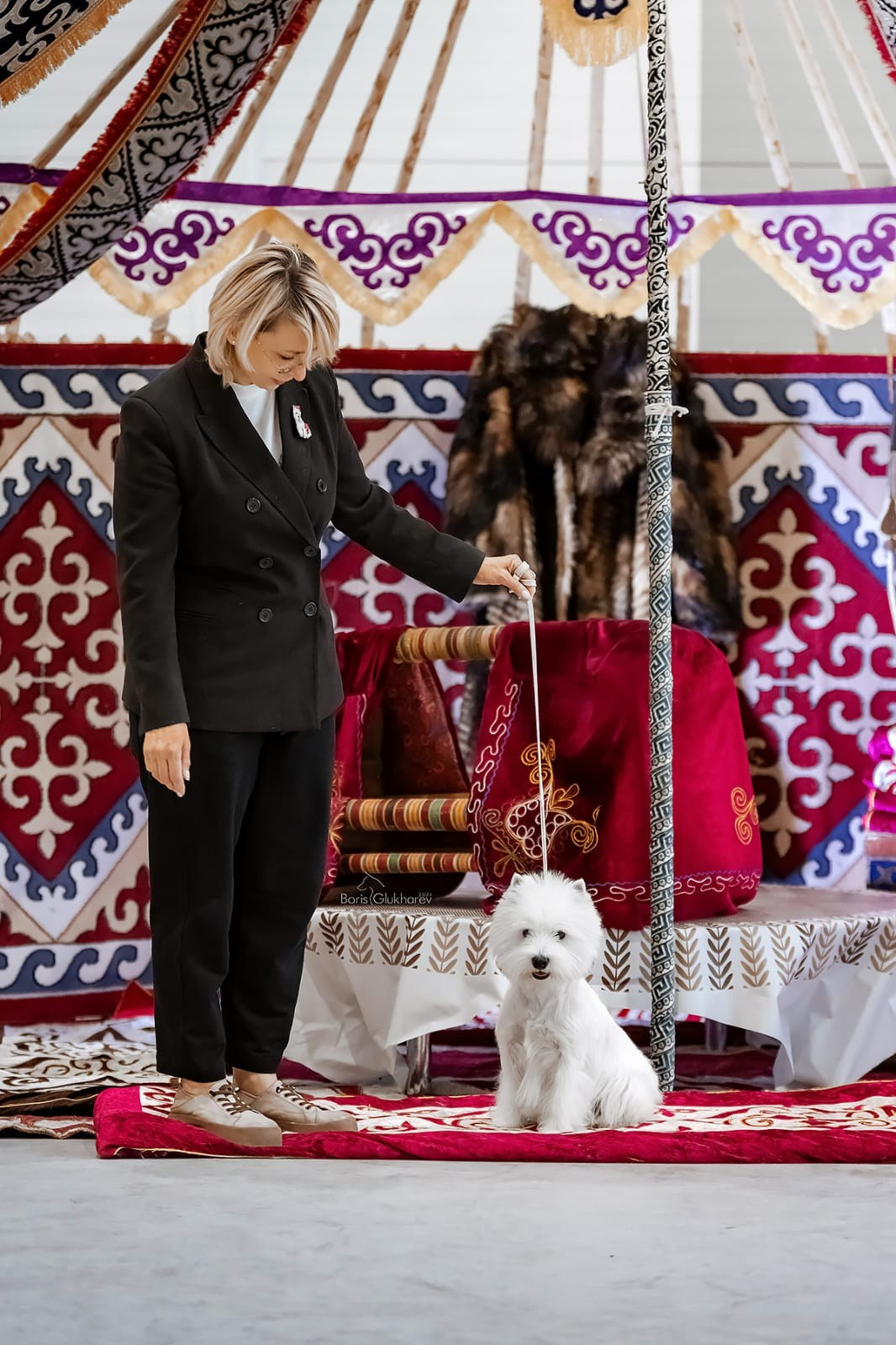 Международные выставки собак в Астане, Казахстан. Питомник собак породы вест хайленд вайт терьер в Москве